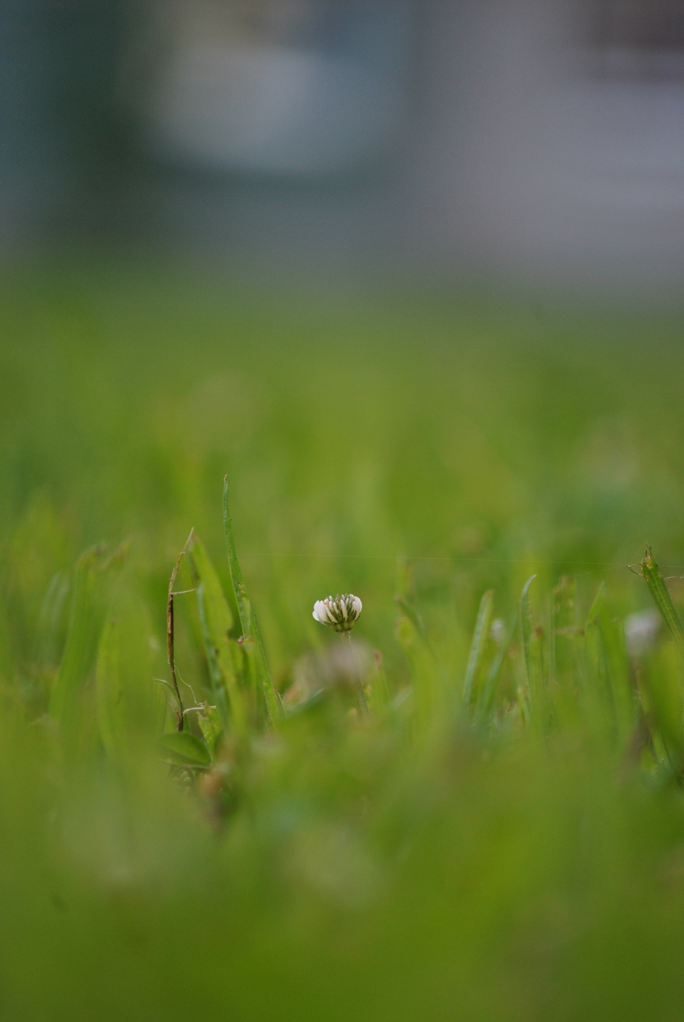 Nikon D3000 sample photo