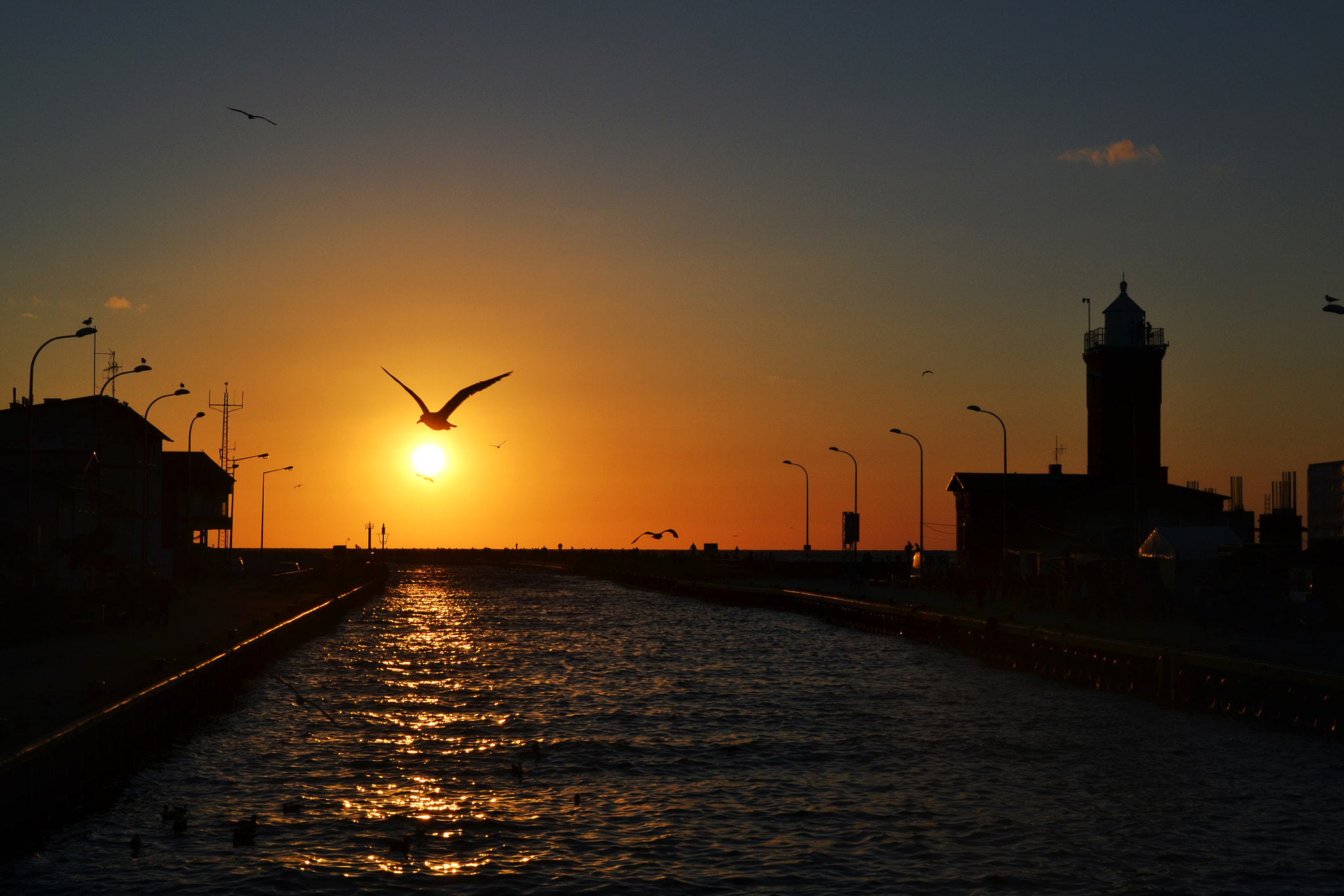 AF Nikkor 28mm f/1.4D sample photo. Sunset photography