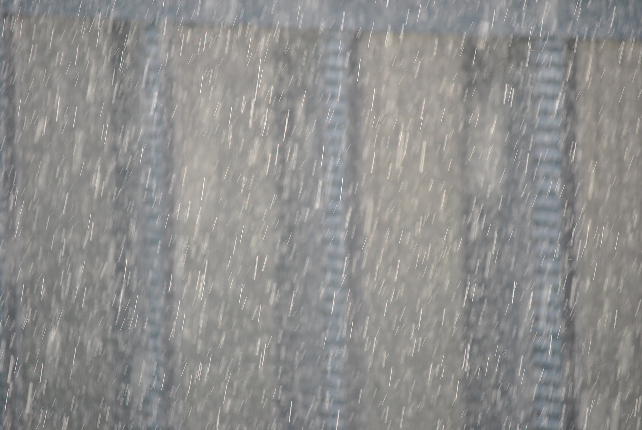 Nikon D3000 sample photo