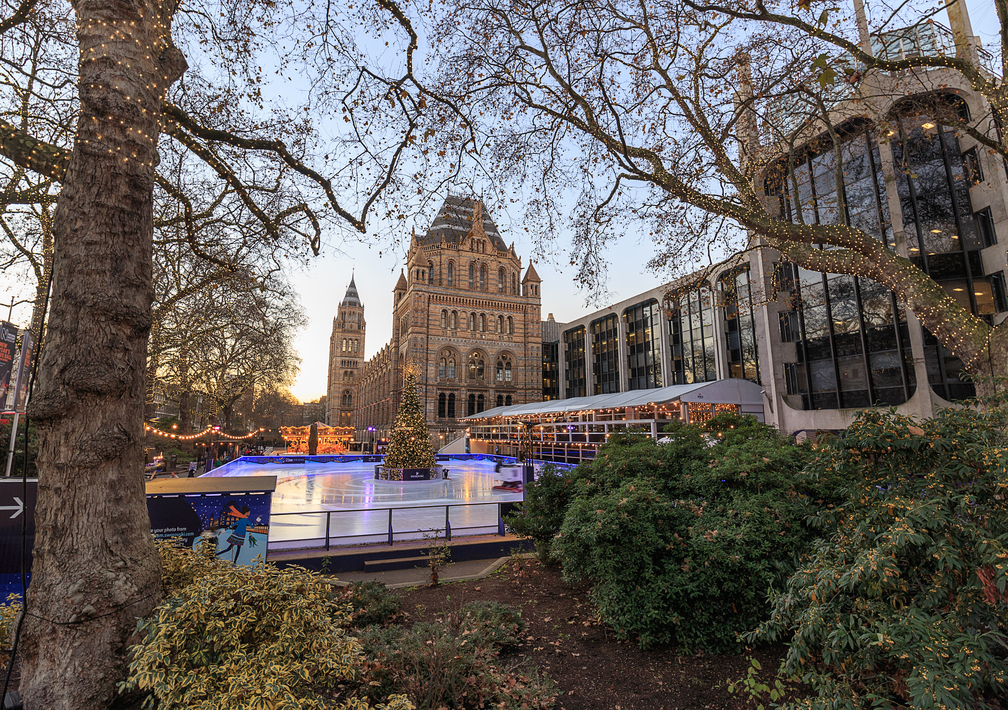 Canon EOS 6D + Canon EF 300mm f/2.8L sample photo. Natural history museum photography