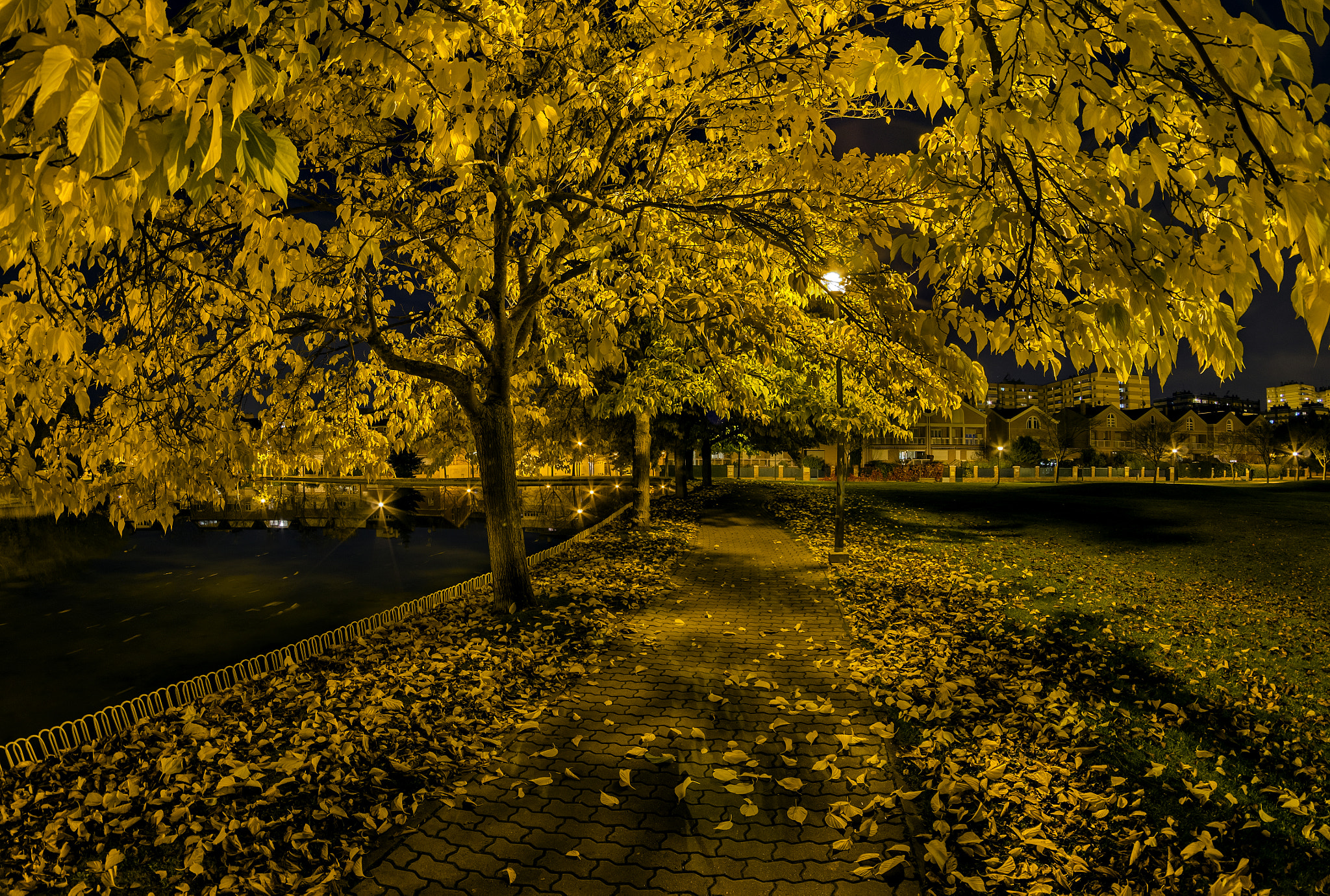 Nikon D7000 + Samyang 8mm F3.5 Aspherical IF MC Fisheye sample photo. Parque del lago photography