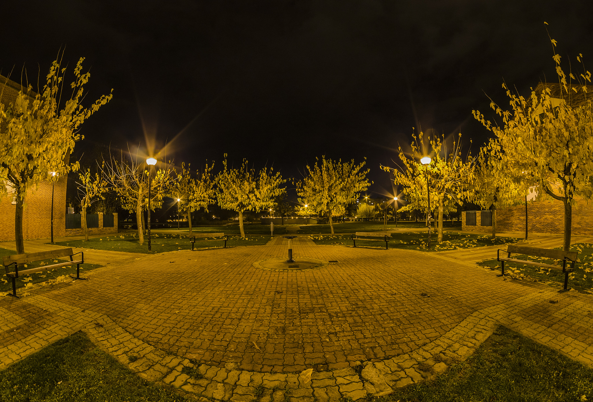 Nikon D7000 + Samyang 8mm F3.5 Aspherical IF MC Fisheye sample photo. Parke photography