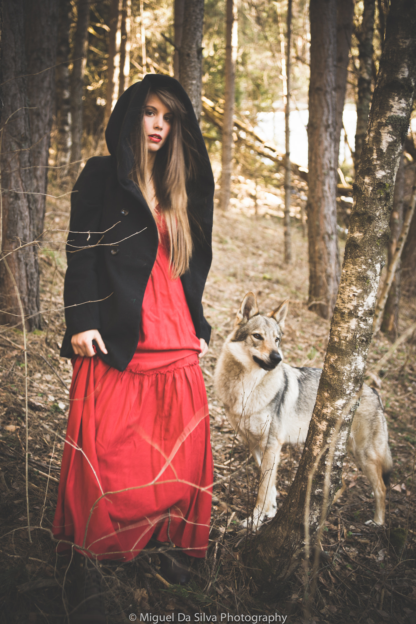 Sony Alpha DSLR-A900 + Sony Vario-Sonnar T* 24-70mm F2.8 ZA SSM sample photo. Portrait of a czech wolfdog and her owner photography