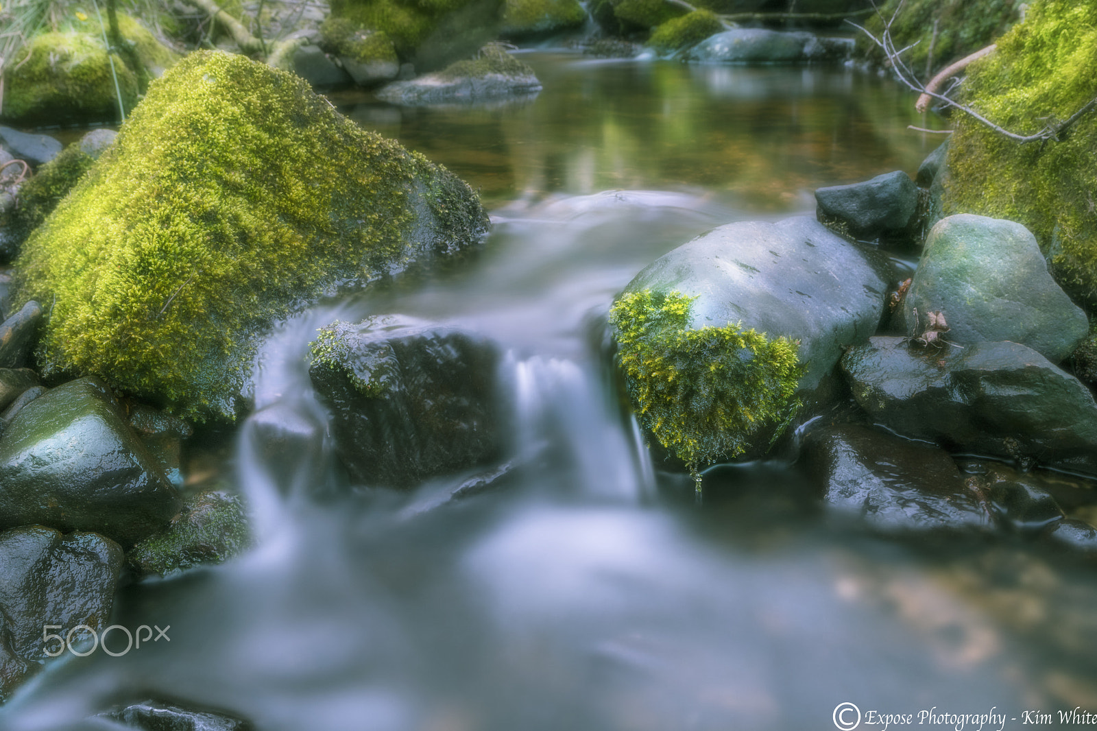 Nikon D500 sample photo. Nature's irrigation photography