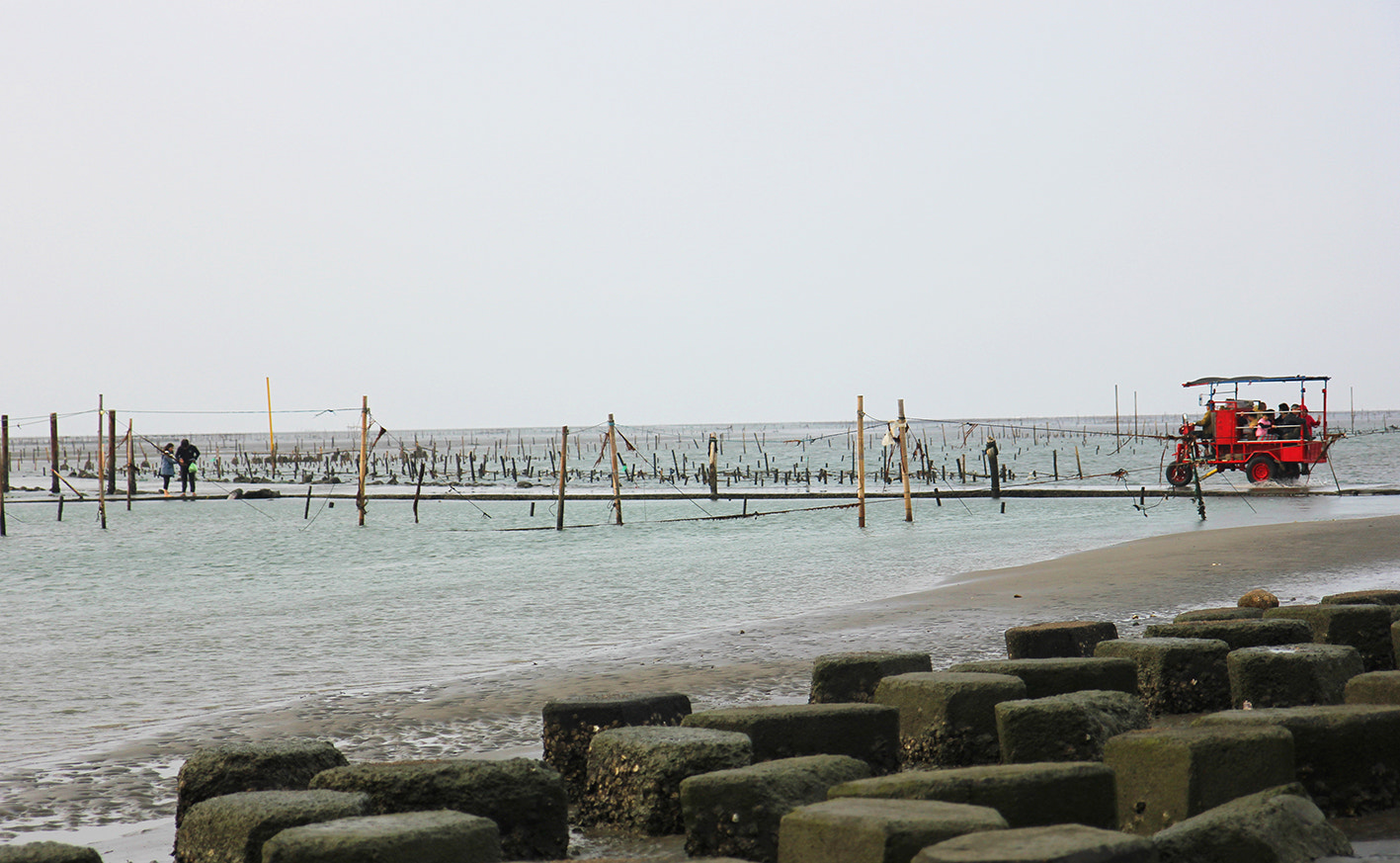 Canon EF-S 17-55mm F2.8 IS USM sample photo. 彰化王功 photography