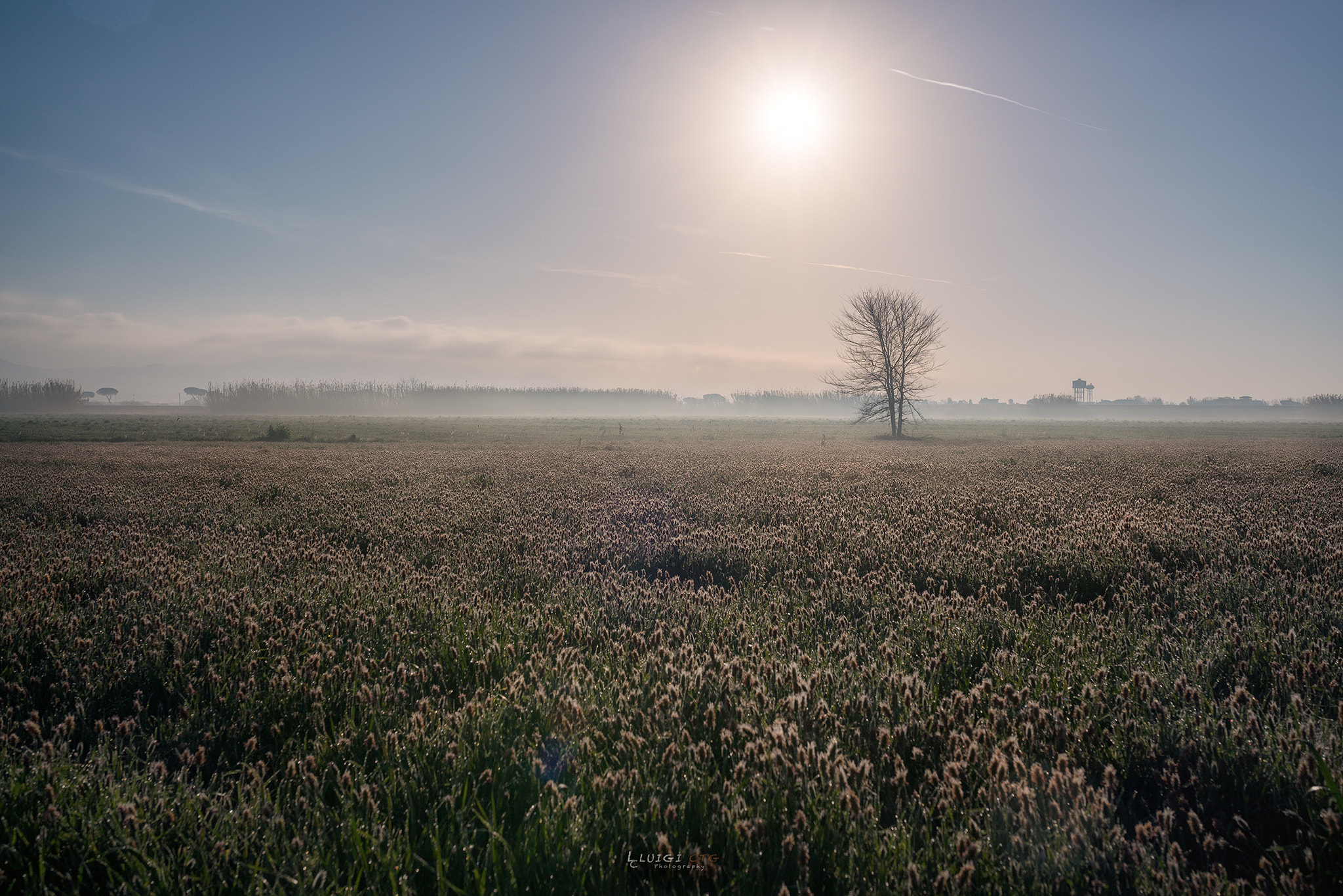 Sony a99 II + Sigma 35mm F1.4 DG HSM Art sample photo. 01 photography