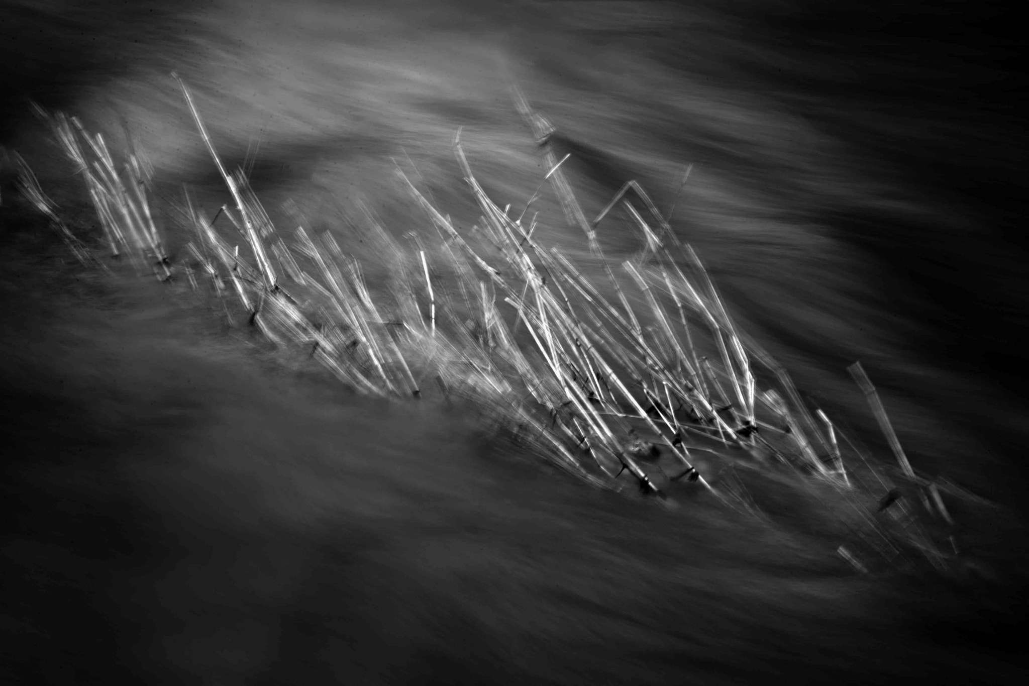 Nikon AF Nikkor 24-85mm F2.8-4D IF sample photo. River aeron wales uk photography