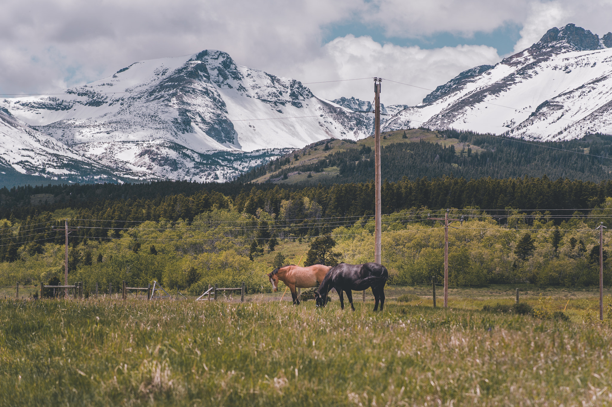 Nikon D700 sample photo. Big sky country mountains photography