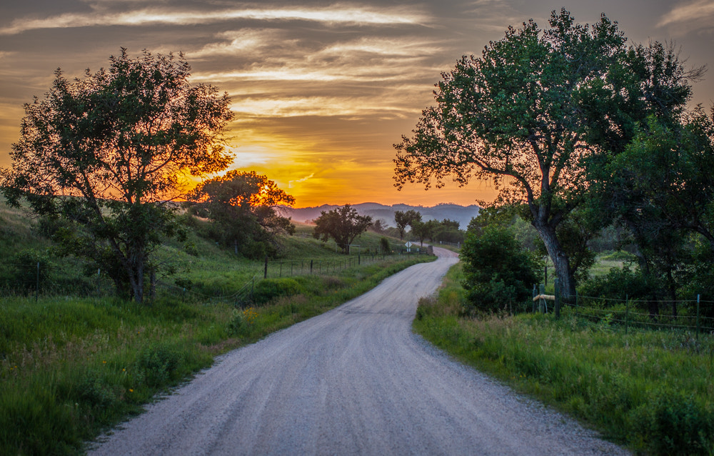 Canon EOS 40D sample photo. Lame johnny road in the evening light photography