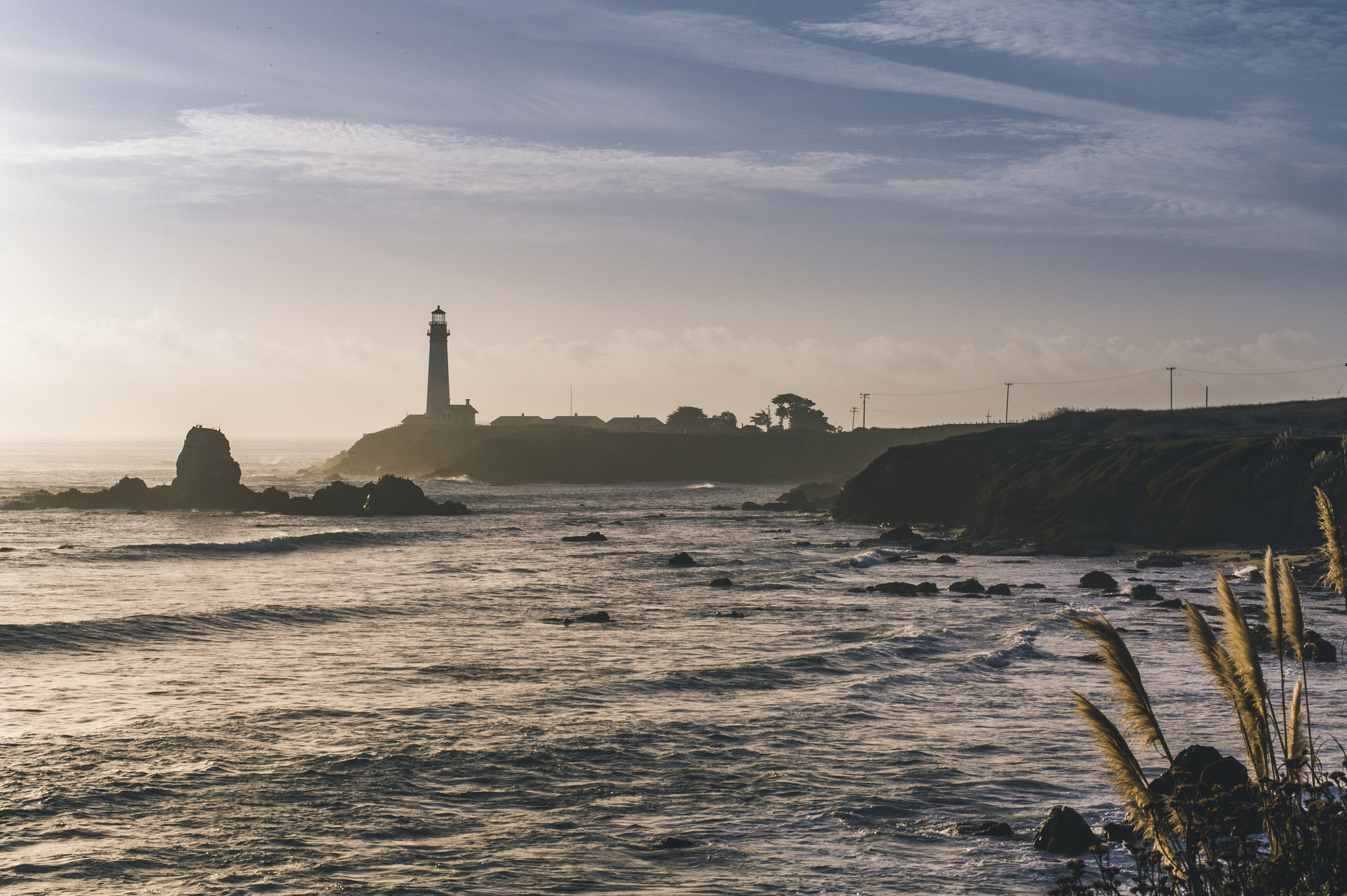 Nikon D700 sample photo. Pigeon point beauty photography
