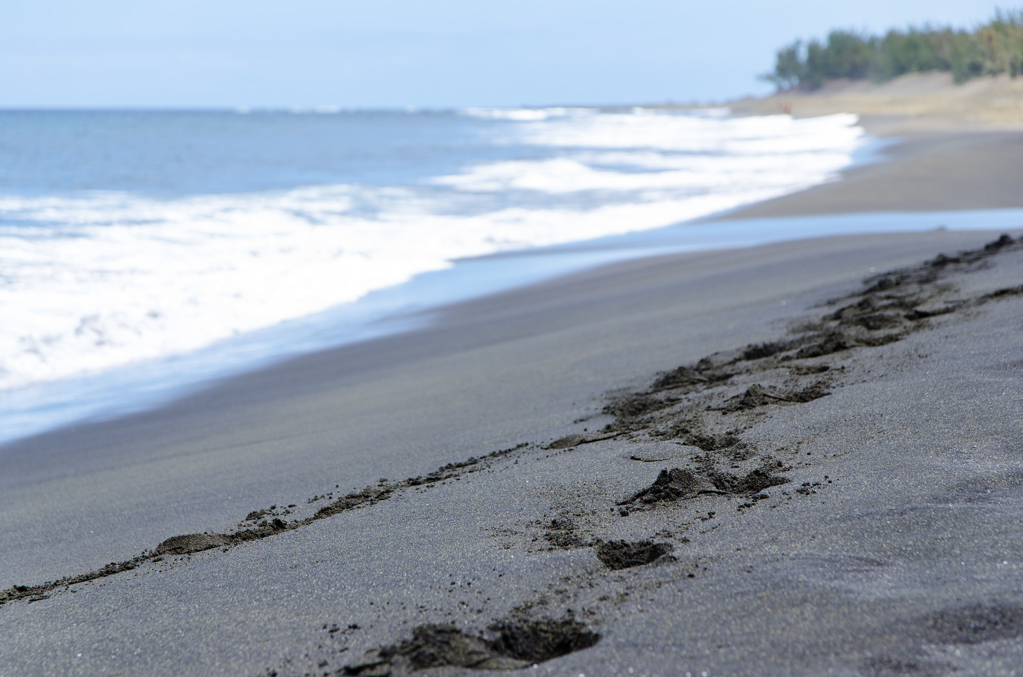 Nikon D7000 + Sigma 17-70mm F2.8-4 DC Macro OS HSM | C sample photo. Plage de lave, etang salé, la réunion photography