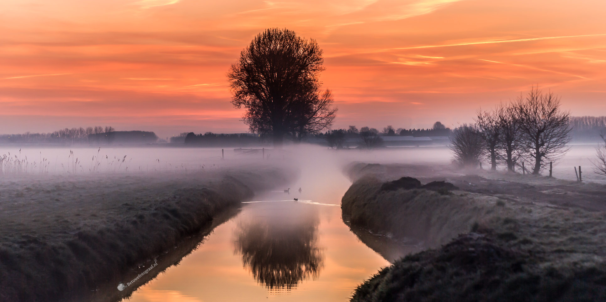 Canon EF 100mm F2.8L Macro IS USM sample photo. Dutch dawn ..viii photography