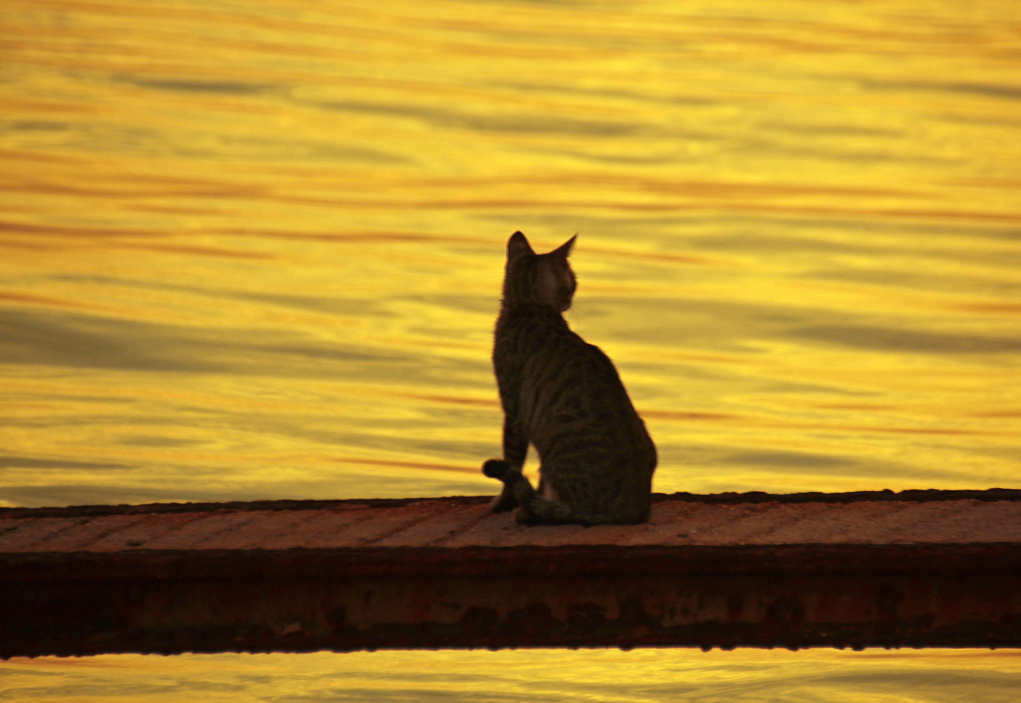 Canon EOS 60D sample photo. Waiting photography