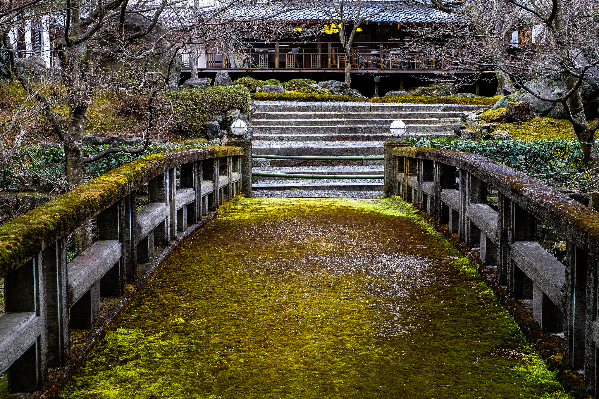 Fujifilm X-T1 + Fujifilm XF 35mm F1.4 R sample photo. 京都・苔の橋 photography