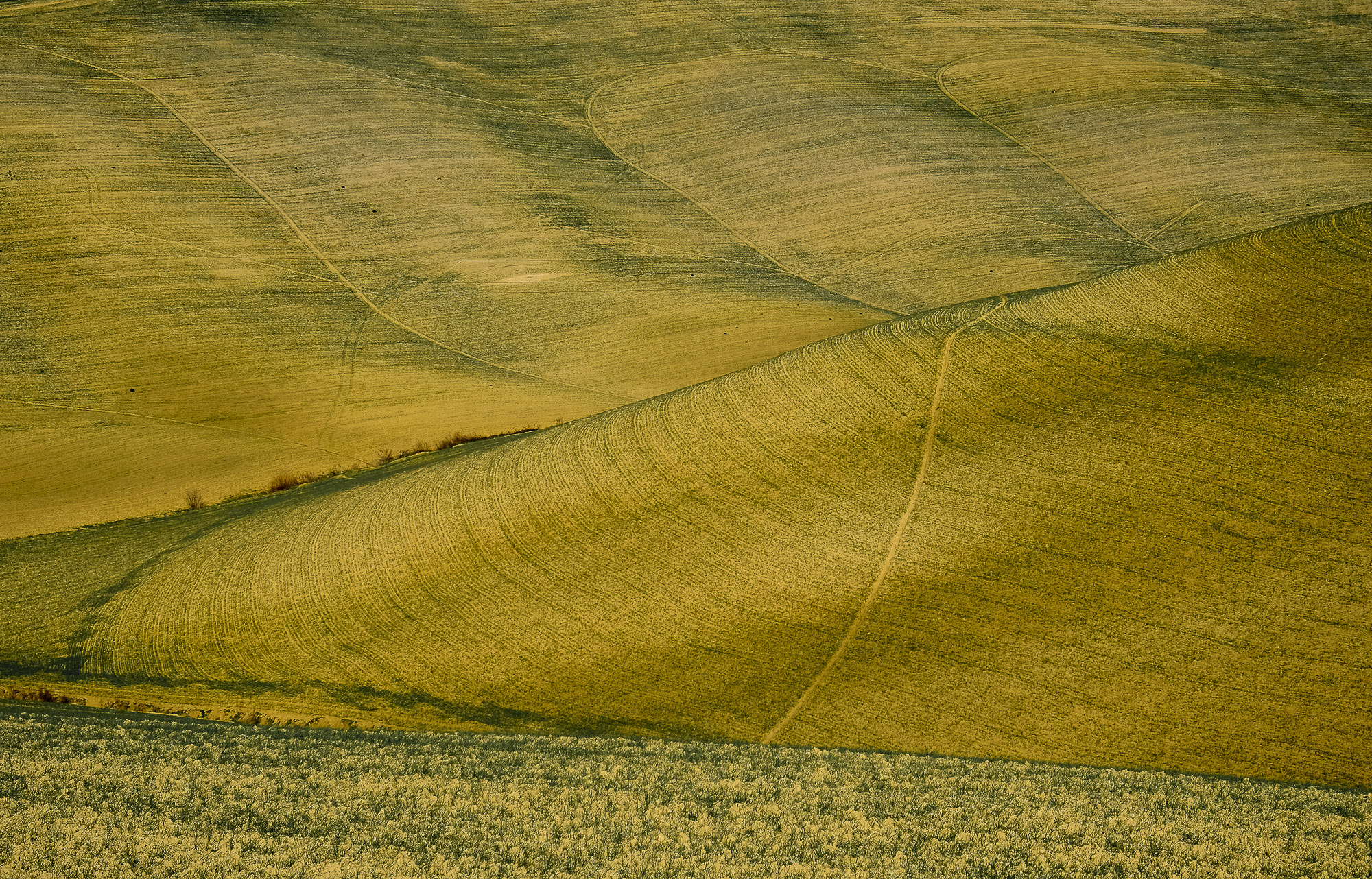 Fujifilm X-E2S + Fujifilm XF 18-55mm F2.8-4 R LM OIS sample photo. Geometrie delle crete photography