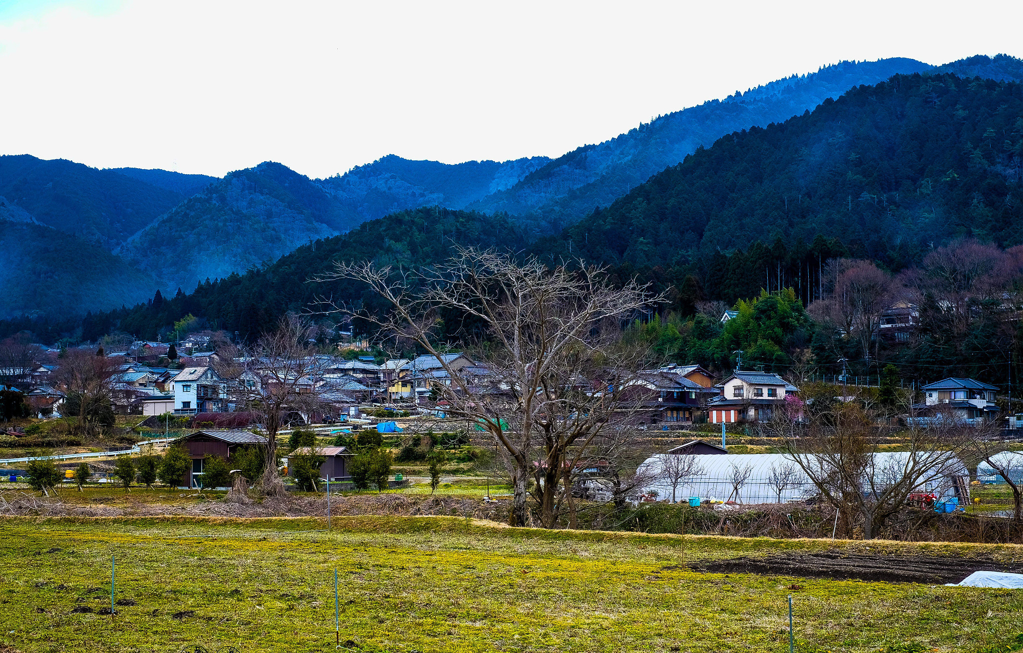 Fujifilm X-T1 + Fujifilm XF 35mm F1.4 R sample photo. 京都・大原 photography