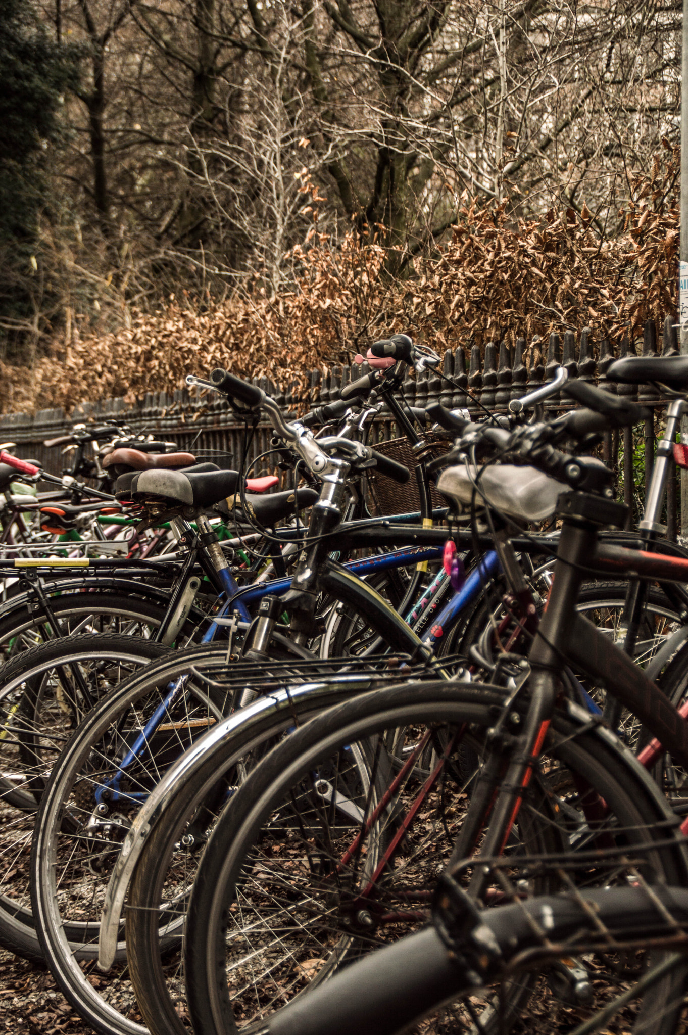 Nikon D3200 sample photo. Bicicletas photography