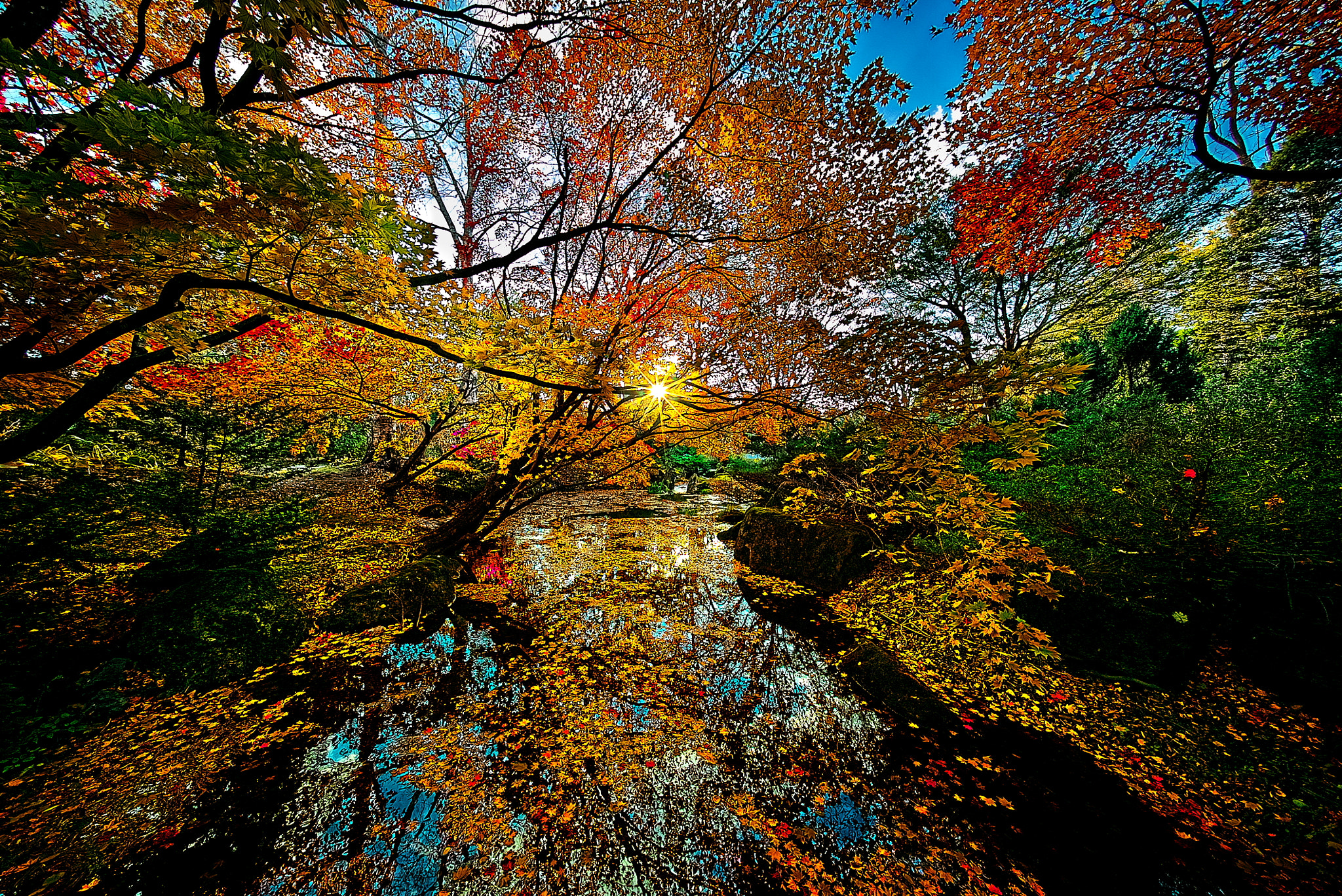 E 10mm F5.6 sample photo. Autumn colored waterside photography