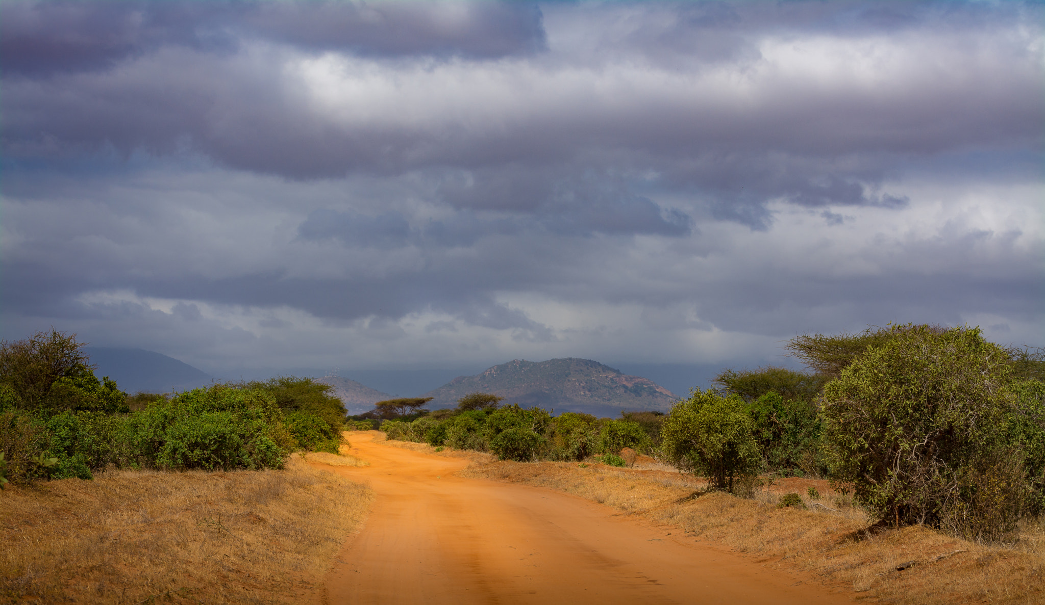 Nikon D7100 + Tamron SP 70-200mm F2.8 Di VC USD sample photo. On tour in tsavo east kenya photography