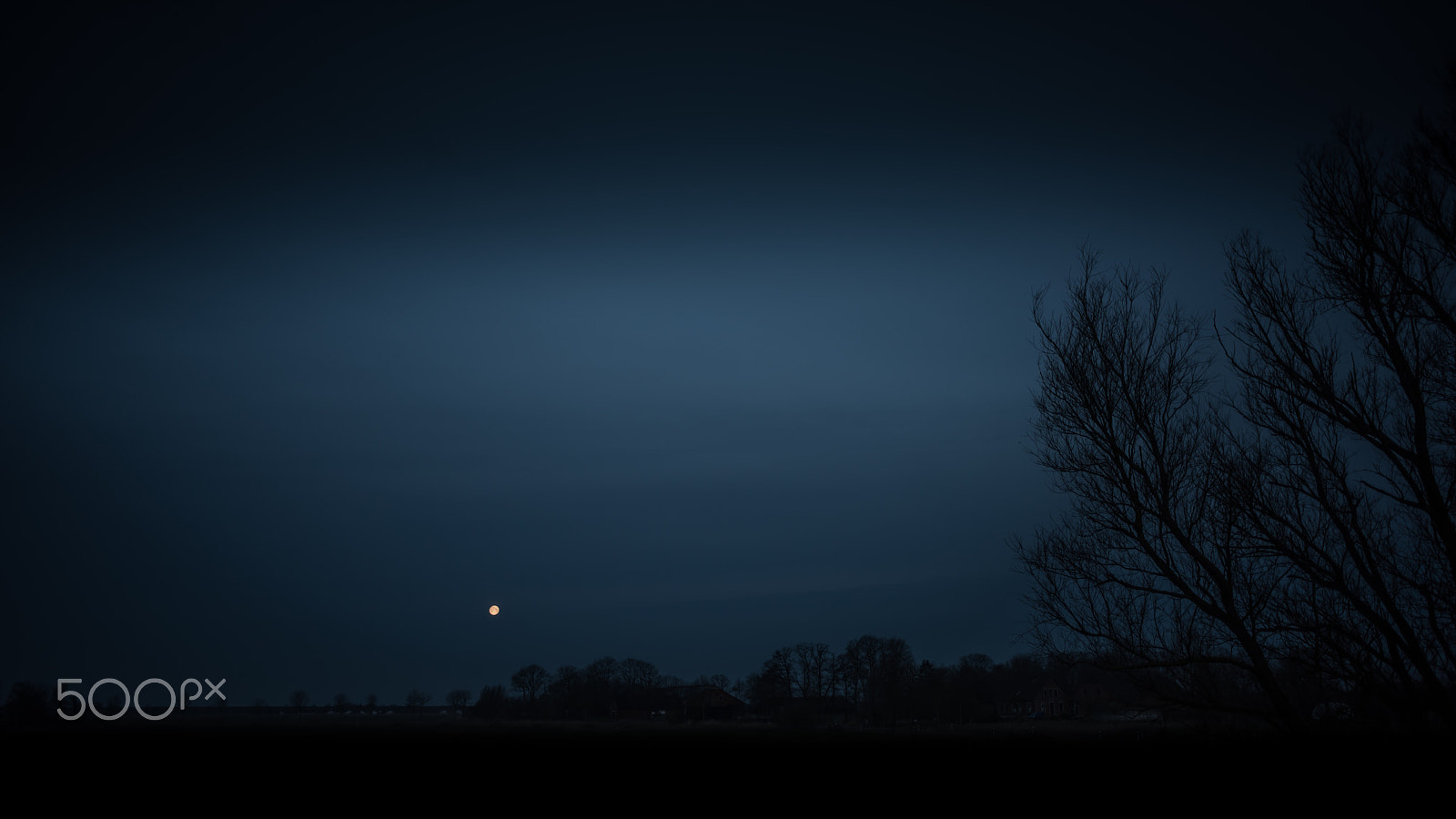 Nikon D810 sample photo. Moon in the morning sky #1 photography