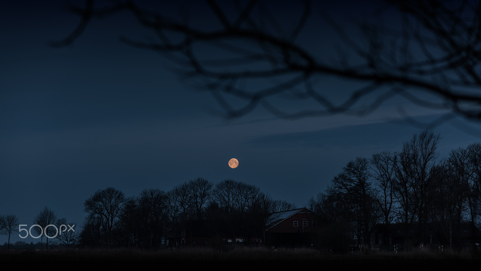 Nikon D810 sample photo. Moon in the morning sky #2 photography