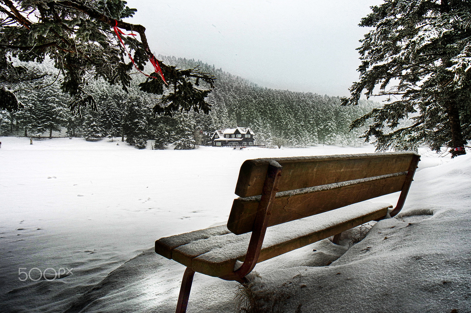 Samsung NX mini sample photo. Winter story photography
