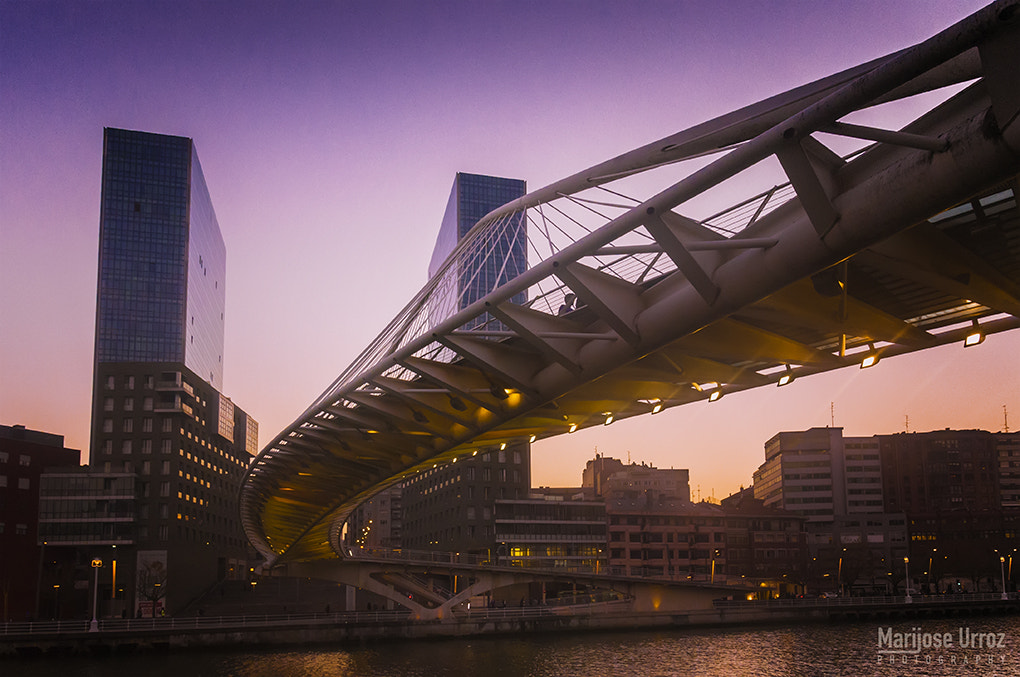 Nikon D300 sample photo. Puente zubizuri al anochecer photography
