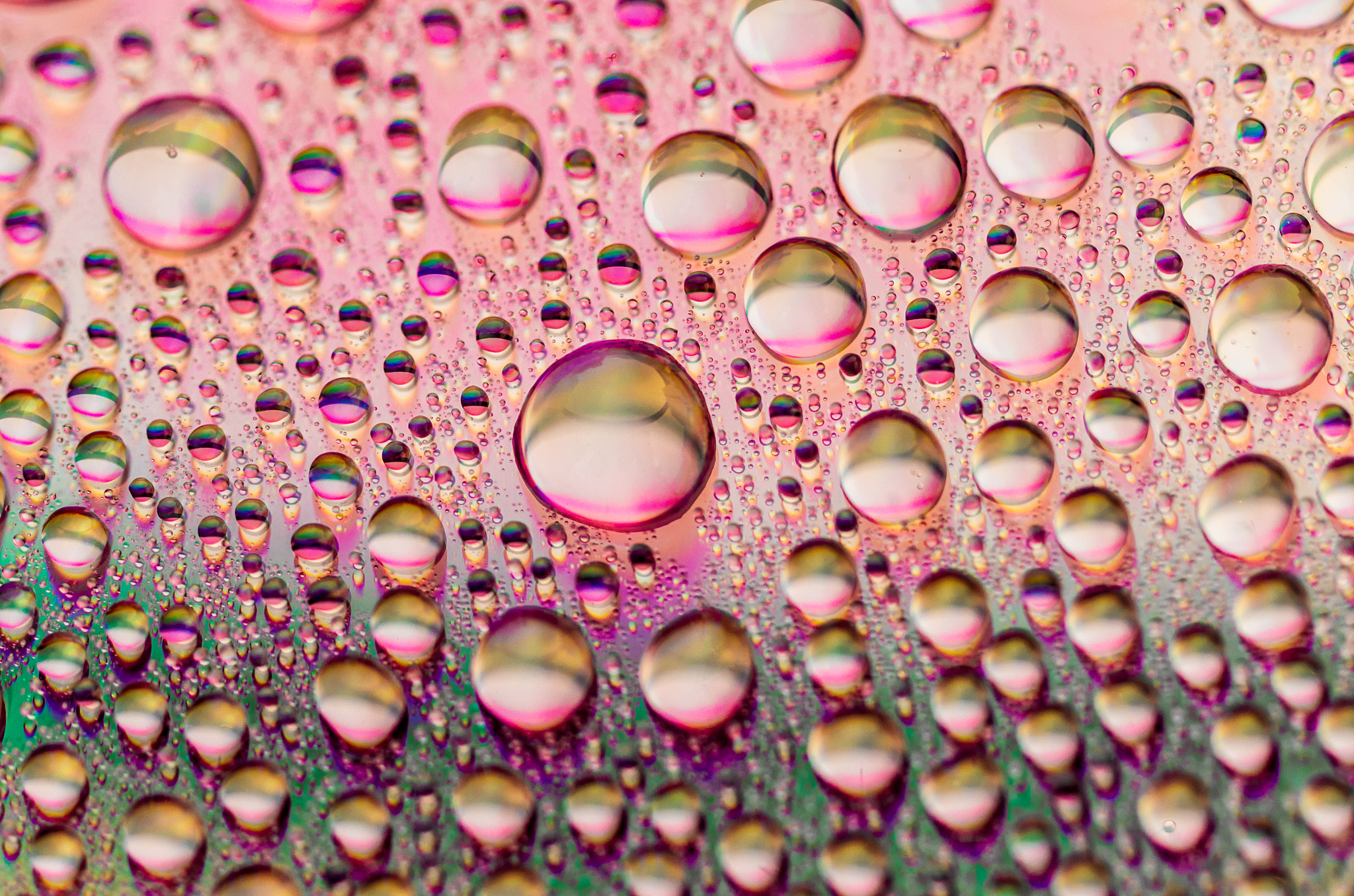 Pentax smc D-FA 50mm F2.8 Macro sample photo. Droplets background ii photography