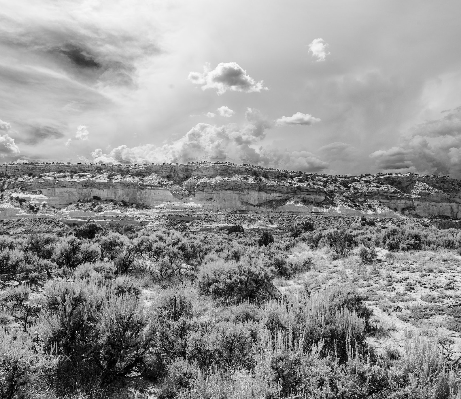 Nikon D200 sample photo. Desert afternoon photography