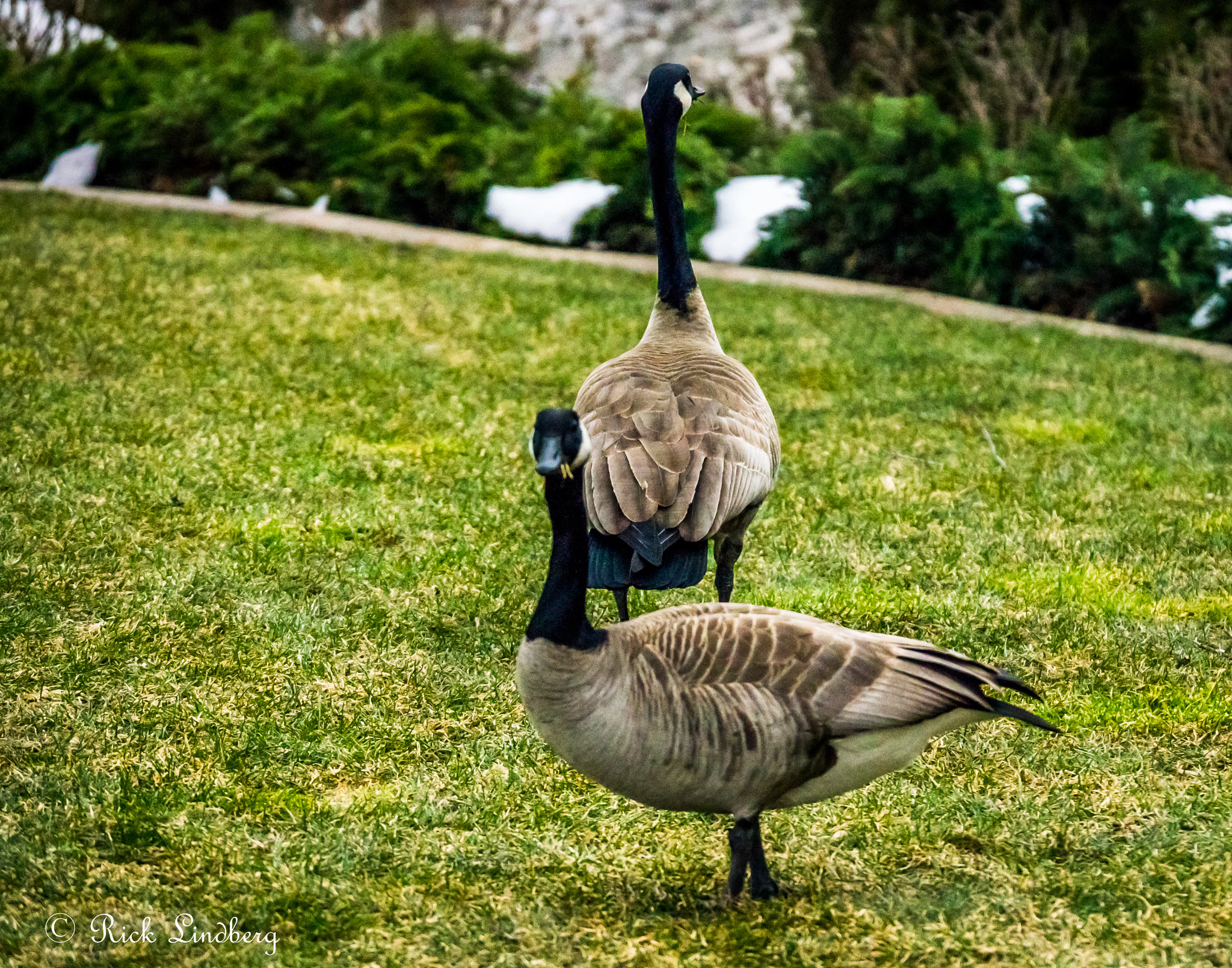 Pentax K-5 sample photo. Lunch time photography