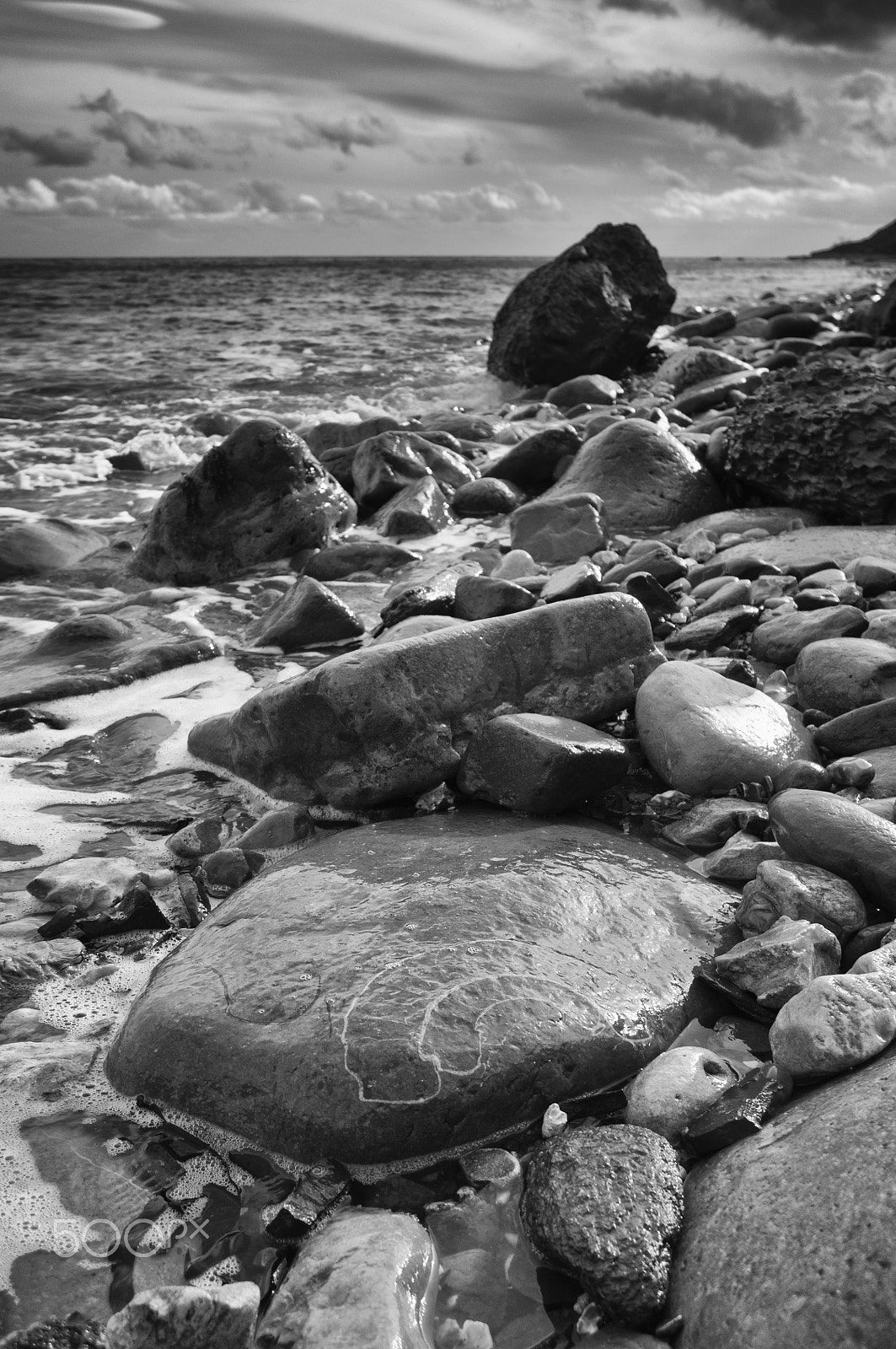 Nikon D300S sample photo. Lyme regis fossil photography