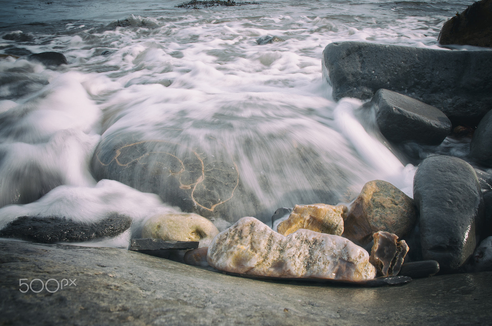 Nikon D300S sample photo. Lyme regis erosion photography