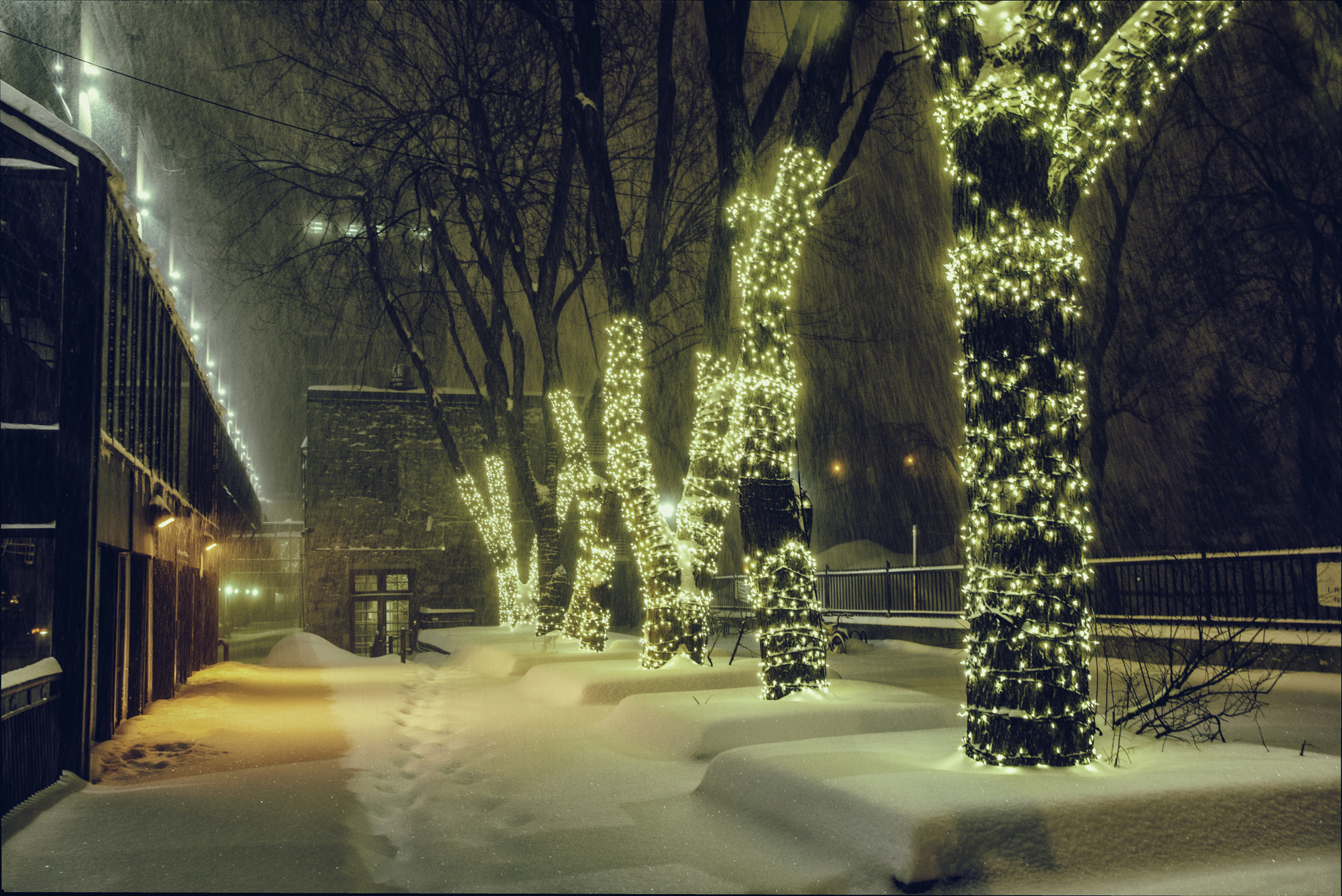 Sigma 17-50mm F2.8 EX DC OS HSM sample photo. Alley in a blizzard photography