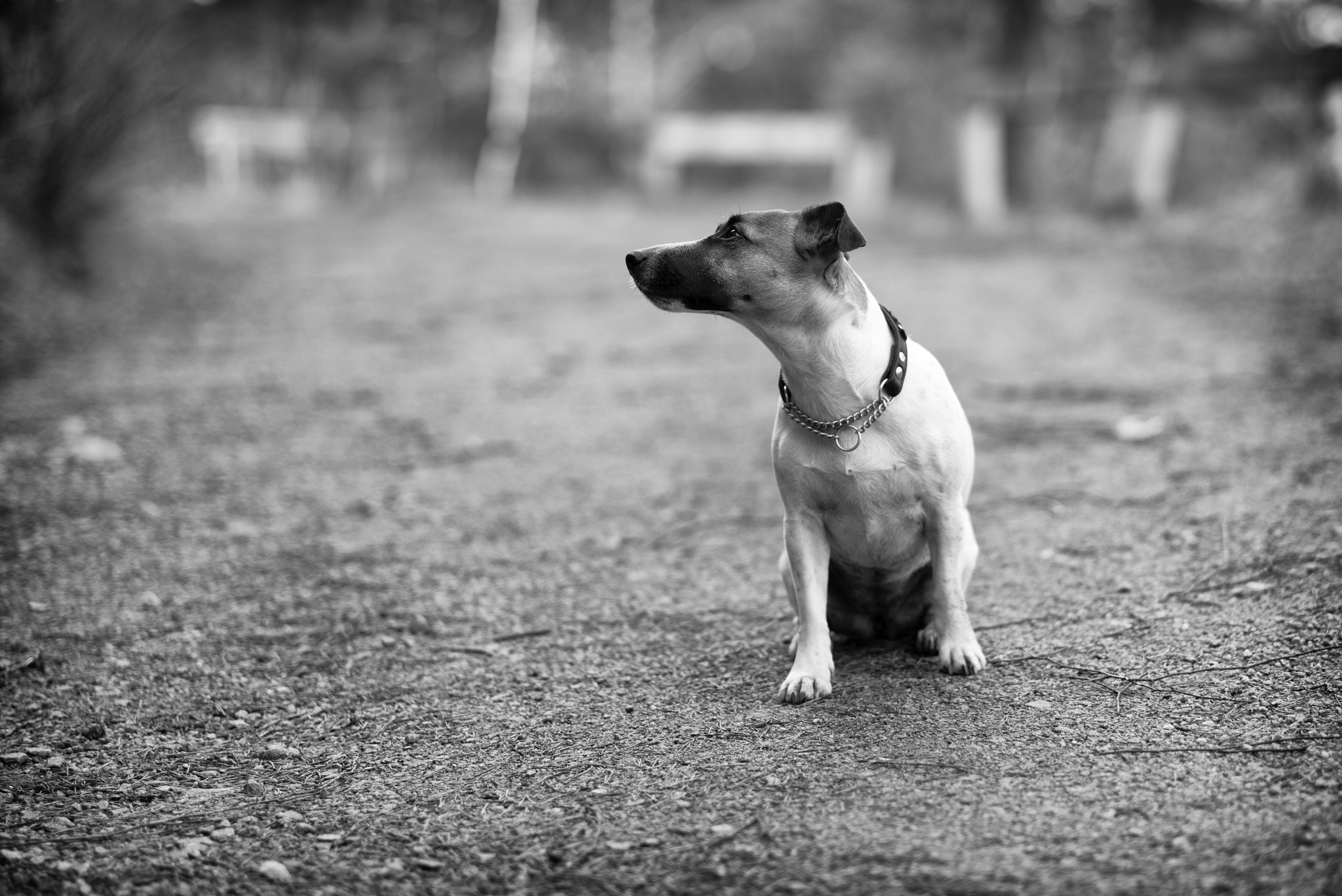 Leica APO-Summicron-M 90mm F2 ASPH sample photo. It's up there somewhere photography