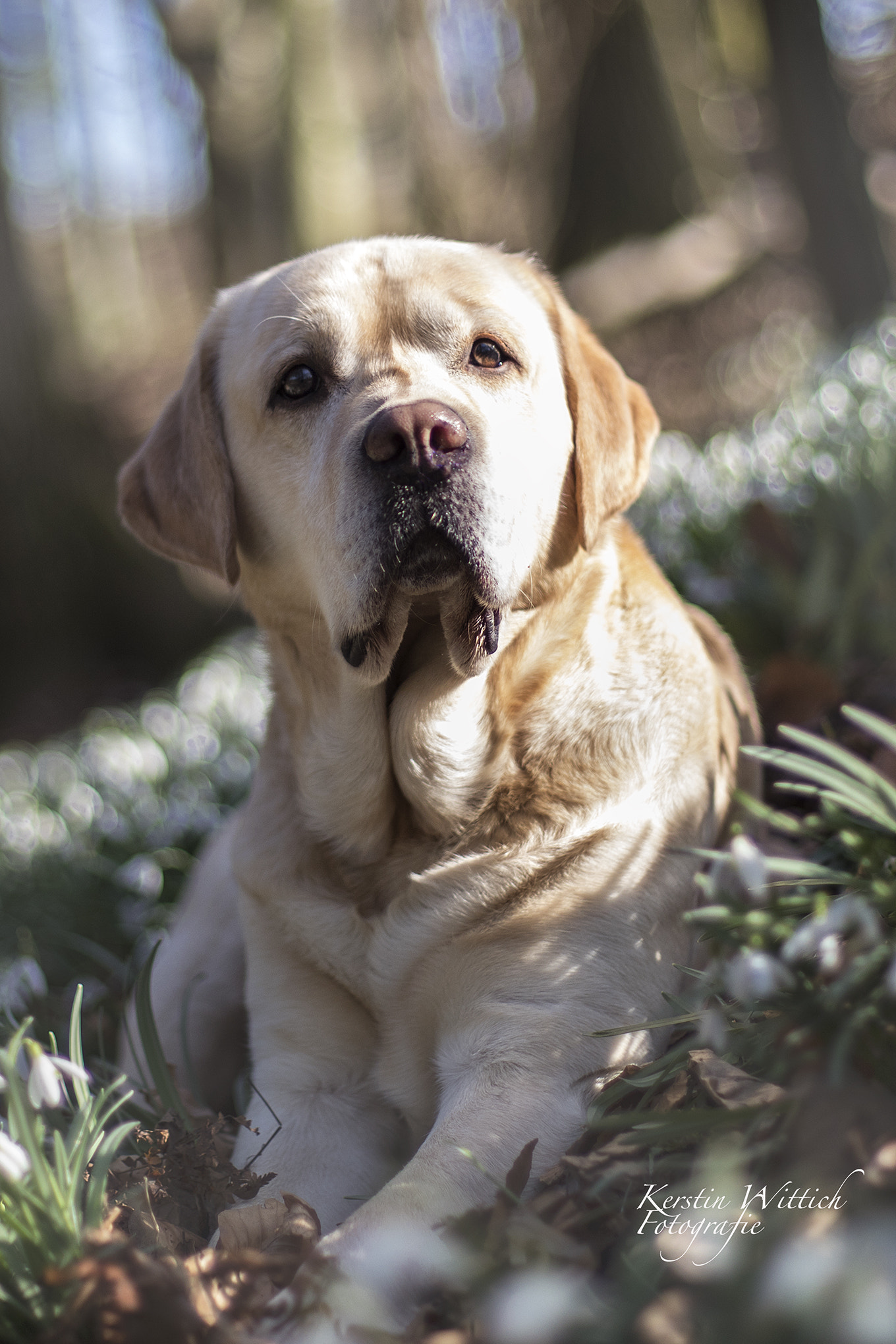 Canon EF 50mm F1.4 USM sample photo. Camillo photography