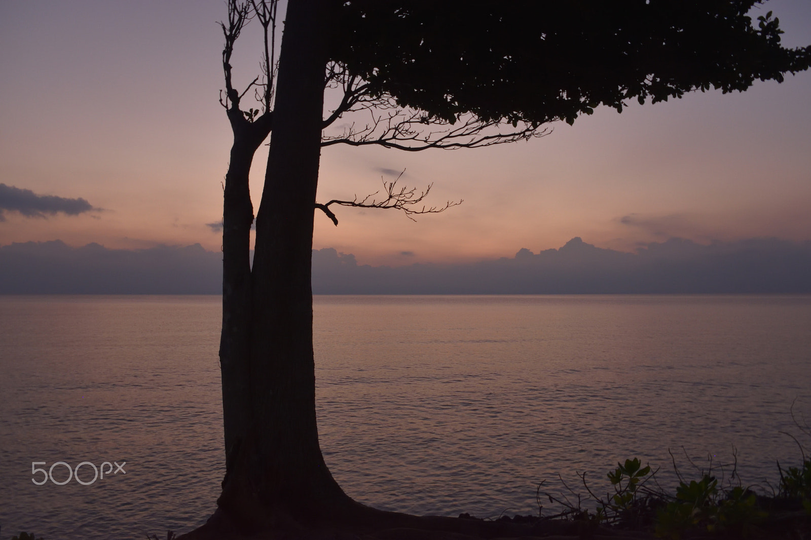 Nikon D5500 sample photo. Twilight photography