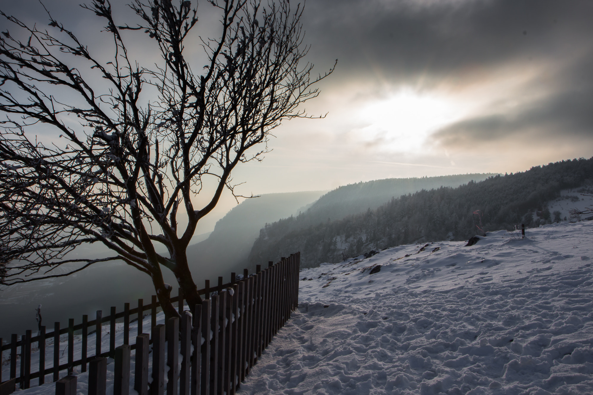 Canon EF-S 17-55mm F2.8 IS USM sample photo. Hohe wand, austria photography