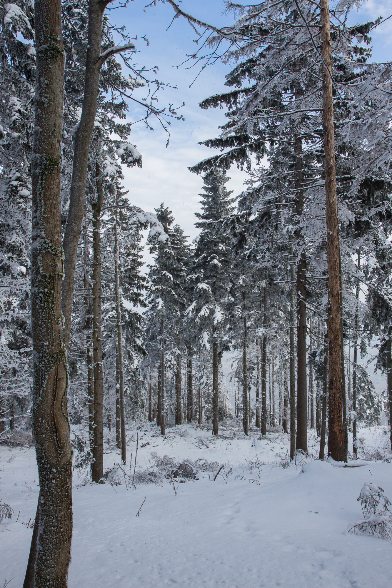 Canon EF-S 17-55mm F2.8 IS USM sample photo. Hohe wand, austria photography
