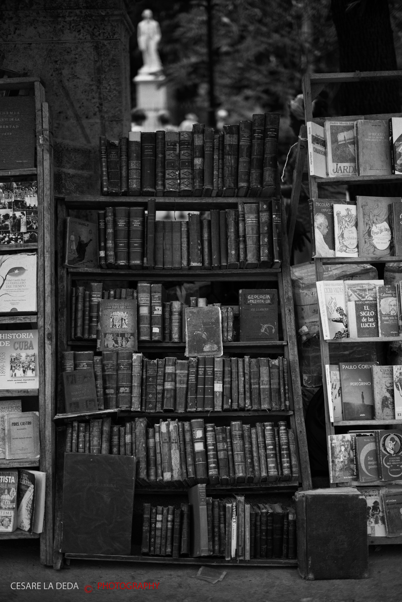 Leica Summilux-M 50mm F1.4 ASPH sample photo. Old library photography