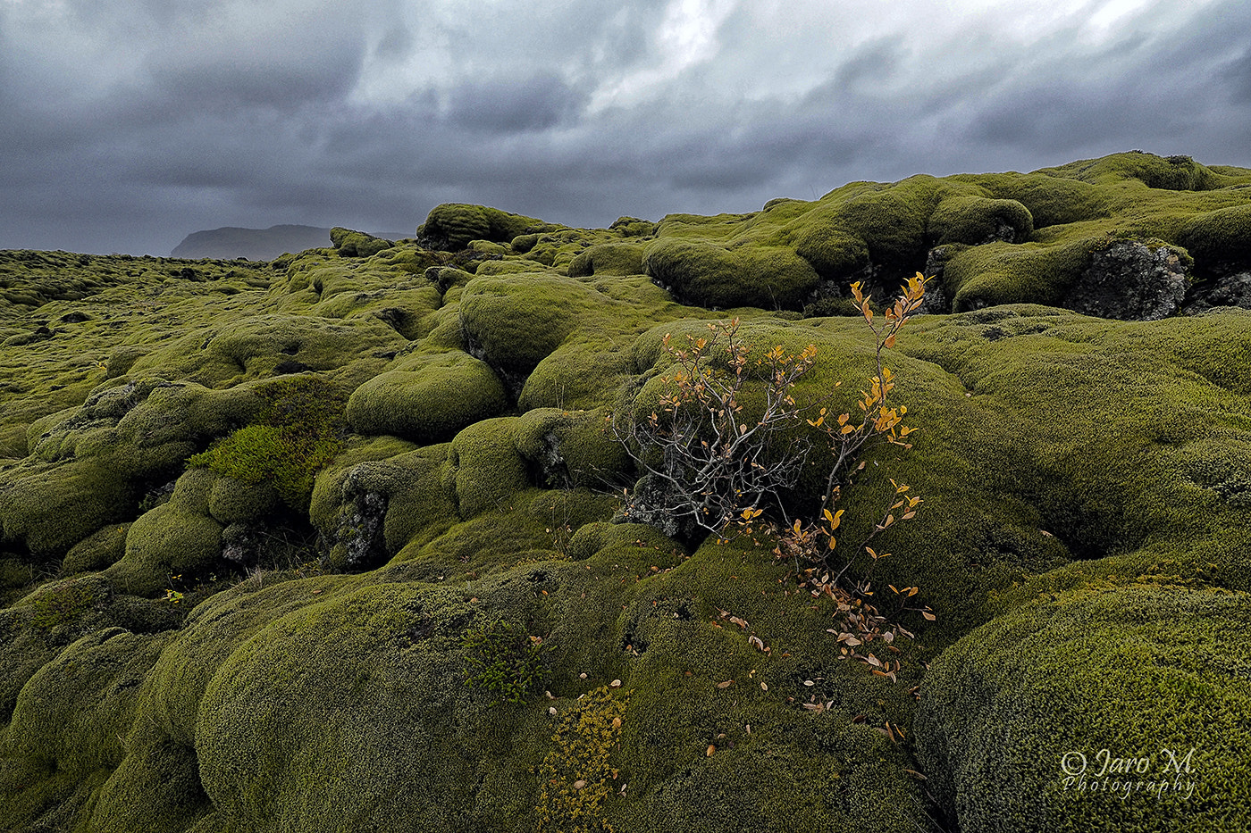 Olympus PEN-F sample photo. Lava field photography