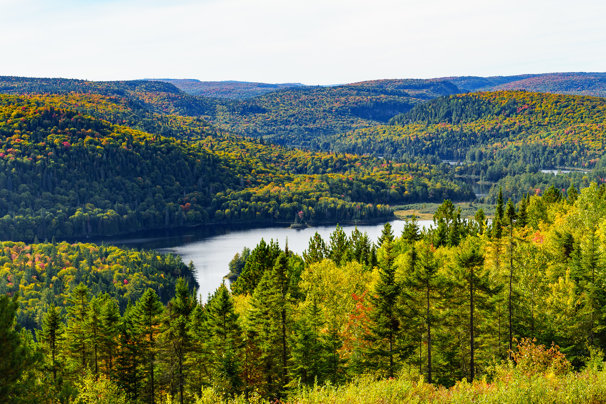 Sony a7 + Sony Vario Tessar T* FE 24-70mm F4 ZA OSS sample photo. Parc national de la mauricie photography