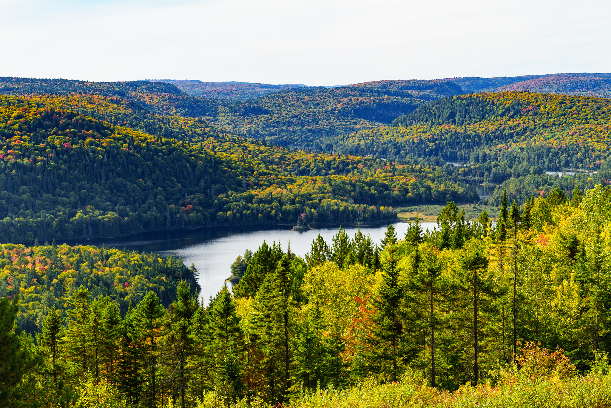 Sony a7 sample photo. Parc national de la mauricie photography