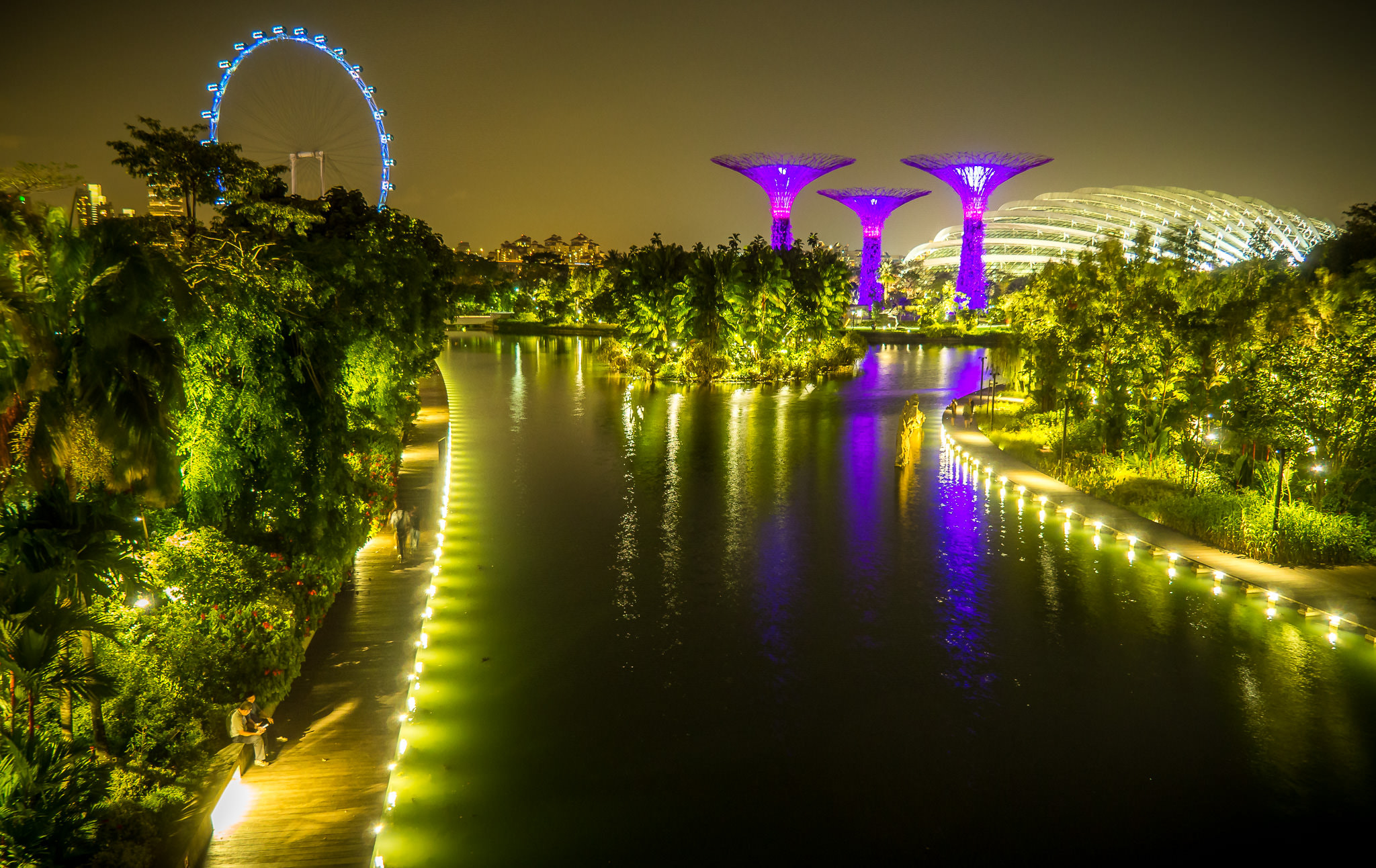 Olympus OM-D E-M10 sample photo. Gardens by the bay photography