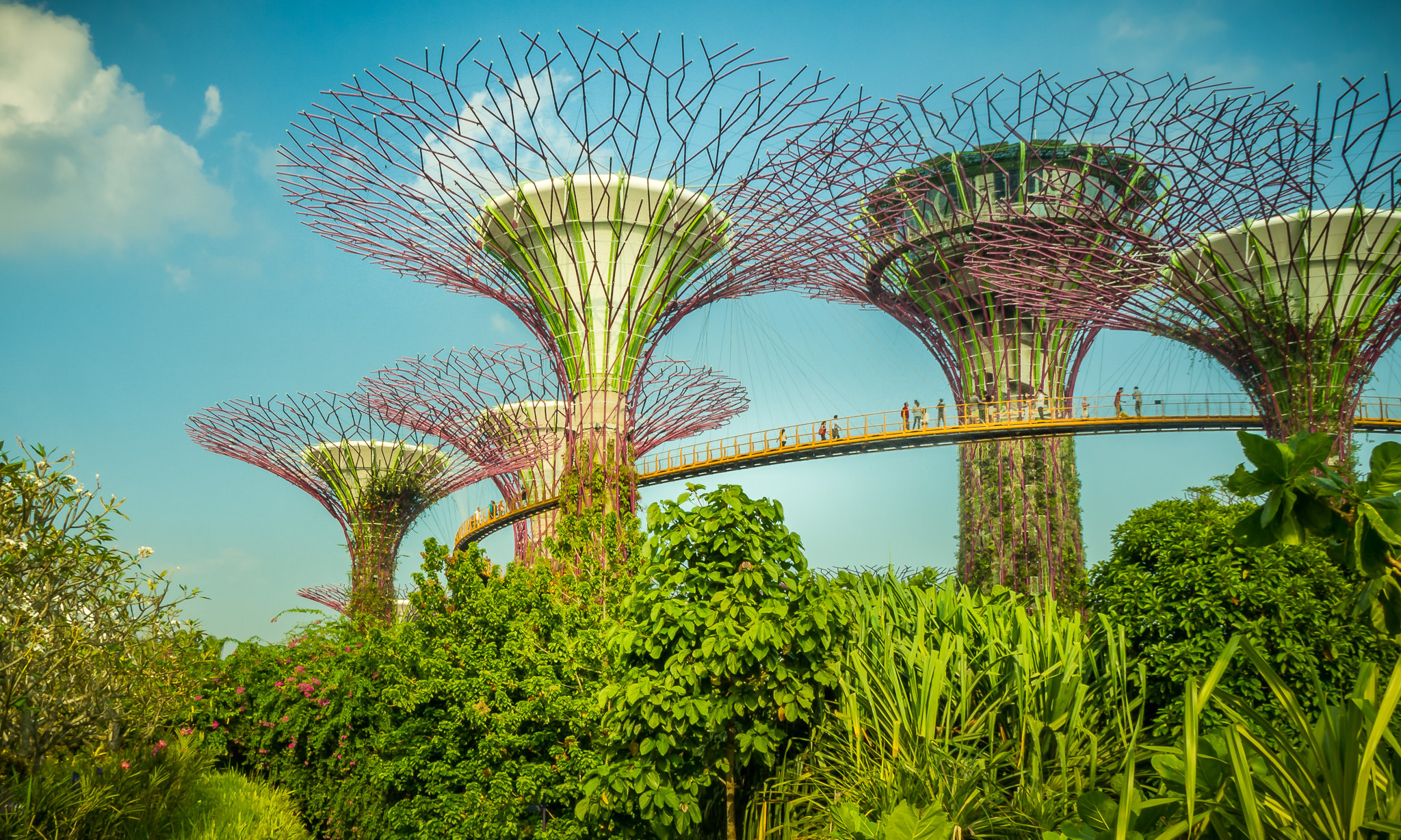 Olympus OM-D E-M10 sample photo. Supertree grove and obcd bridge at garden by the bay photography