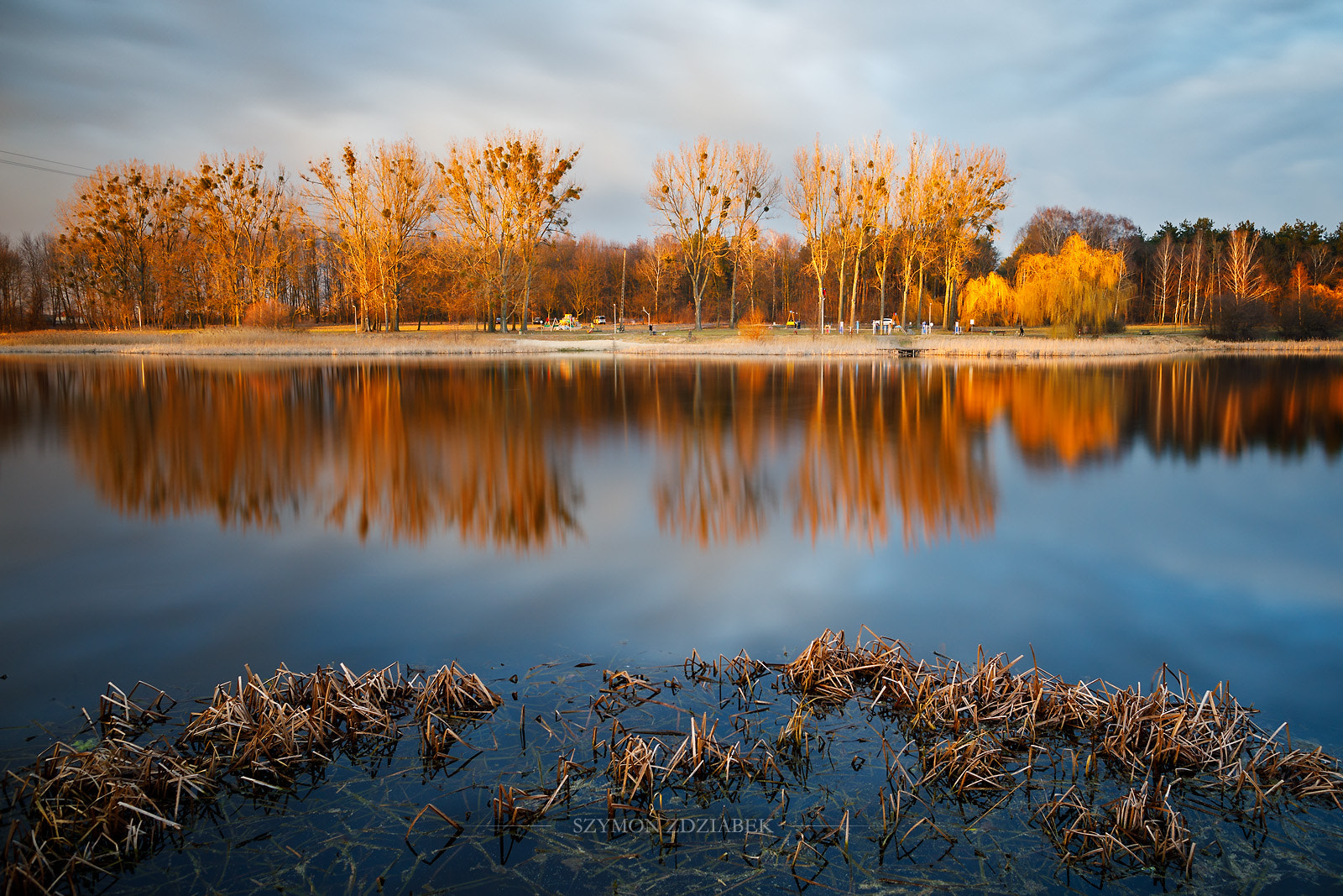 Canon EOS 5D Mark IV + Canon EF 24mm F1.4L II USM sample photo. Spring is coming photography