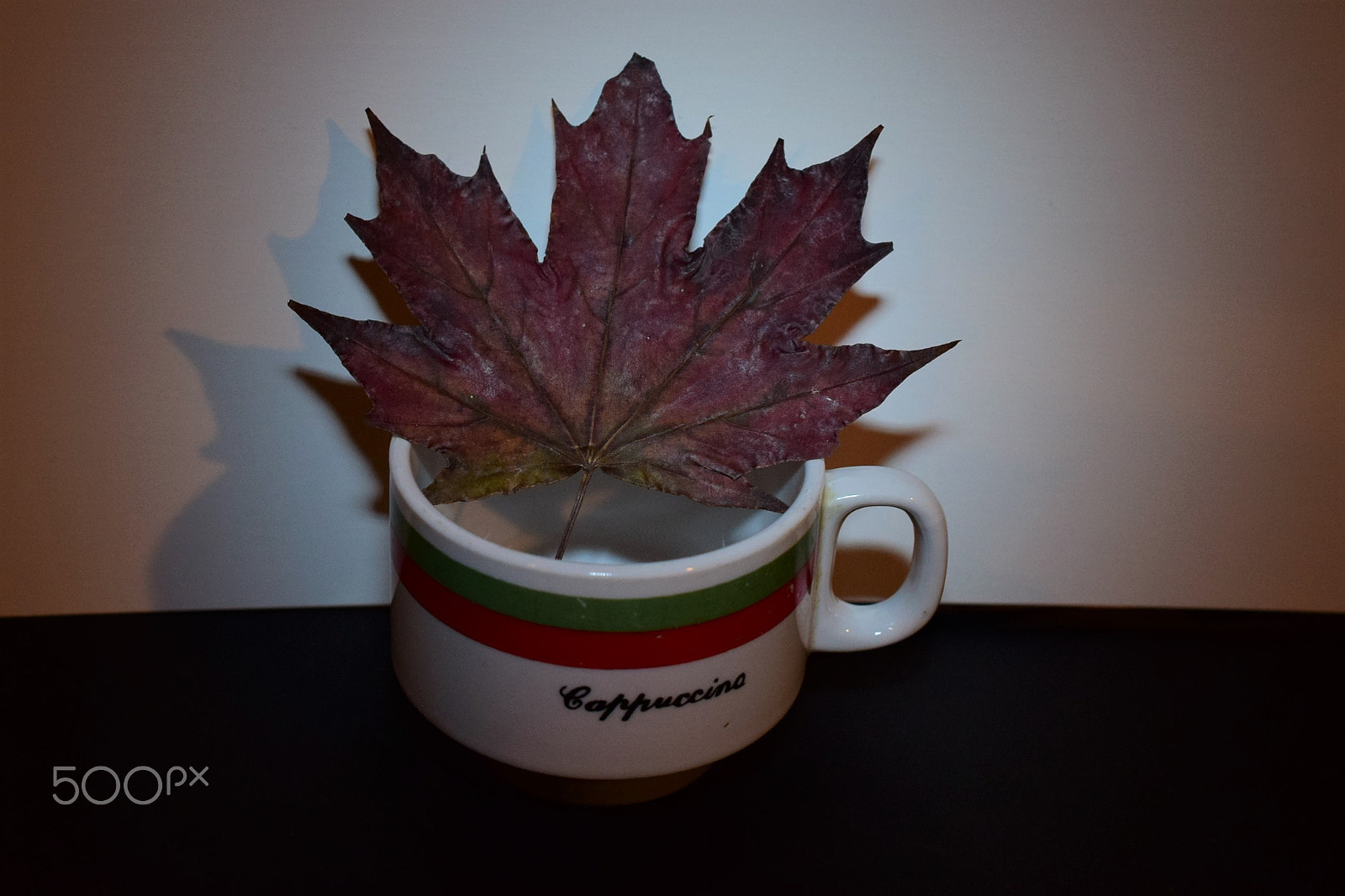 Nikon AF-S DX Micro Nikkor 40mm F2.8 sample photo. Expresso leaf photography