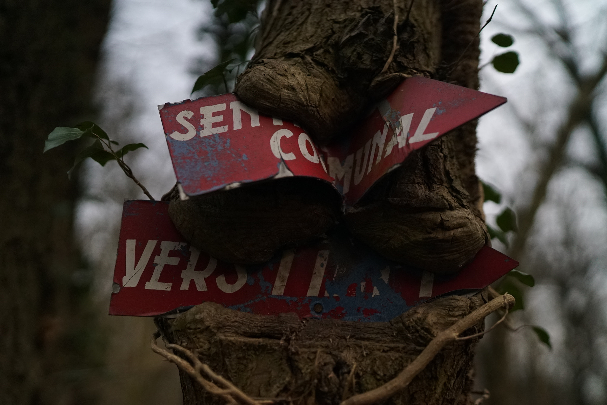 Sony a7S II sample photo. Eated sign photography