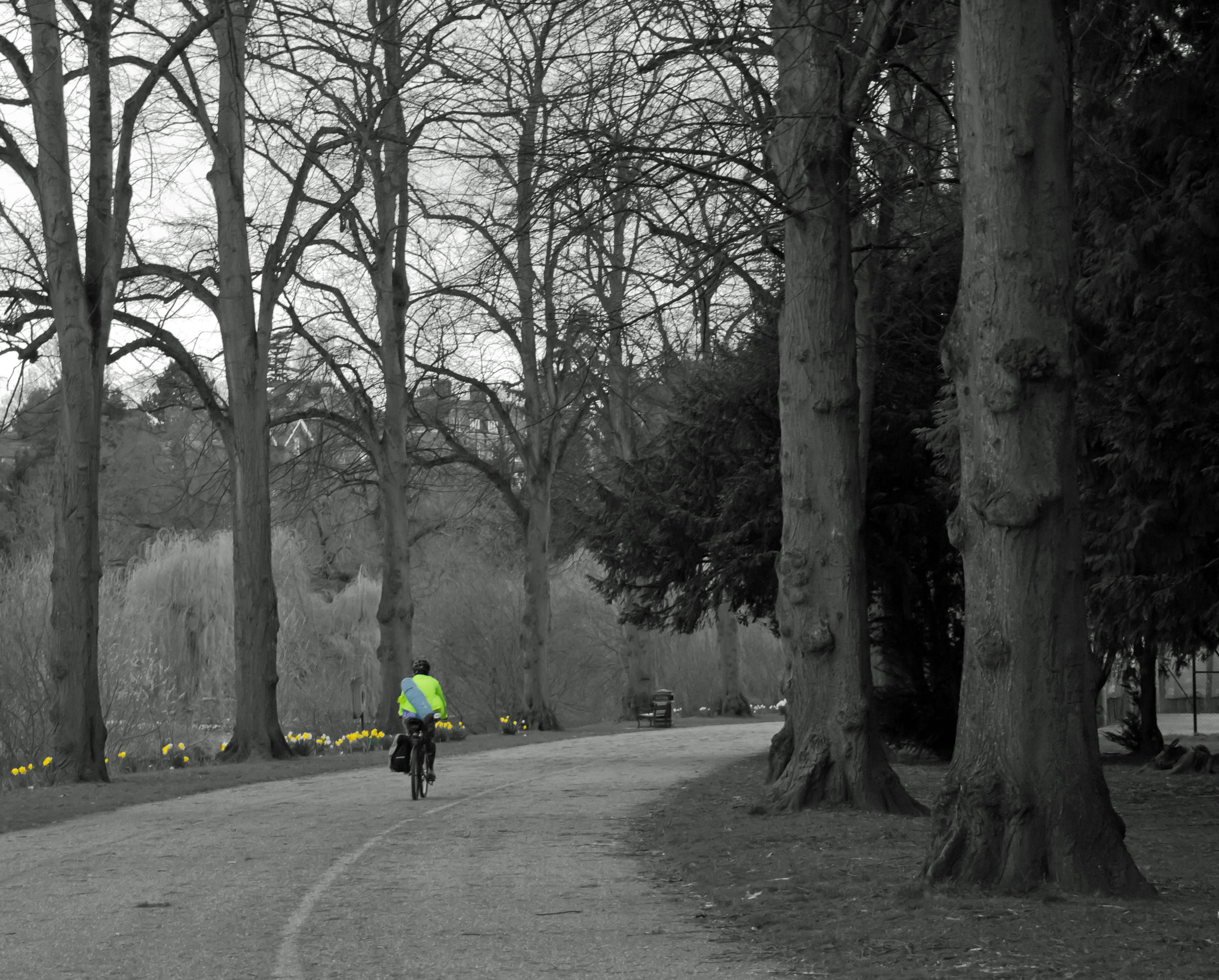 Canon EOS 60D sample photo. Shrewsbury, shropshire, england. photography