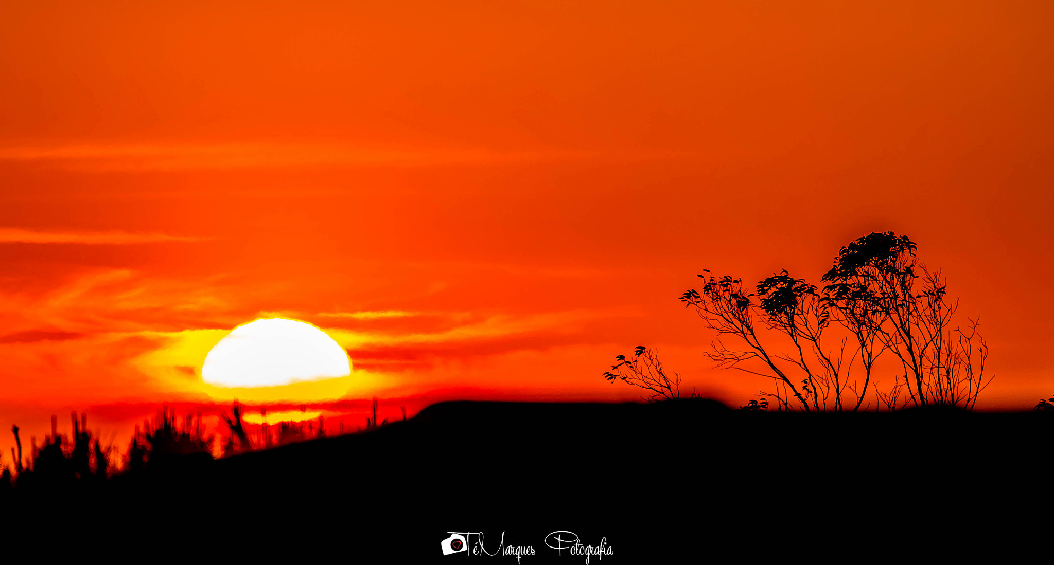 Sigma 150-500mm F5-6.3 DG OS HSM sample photo. Fire in the sky photography