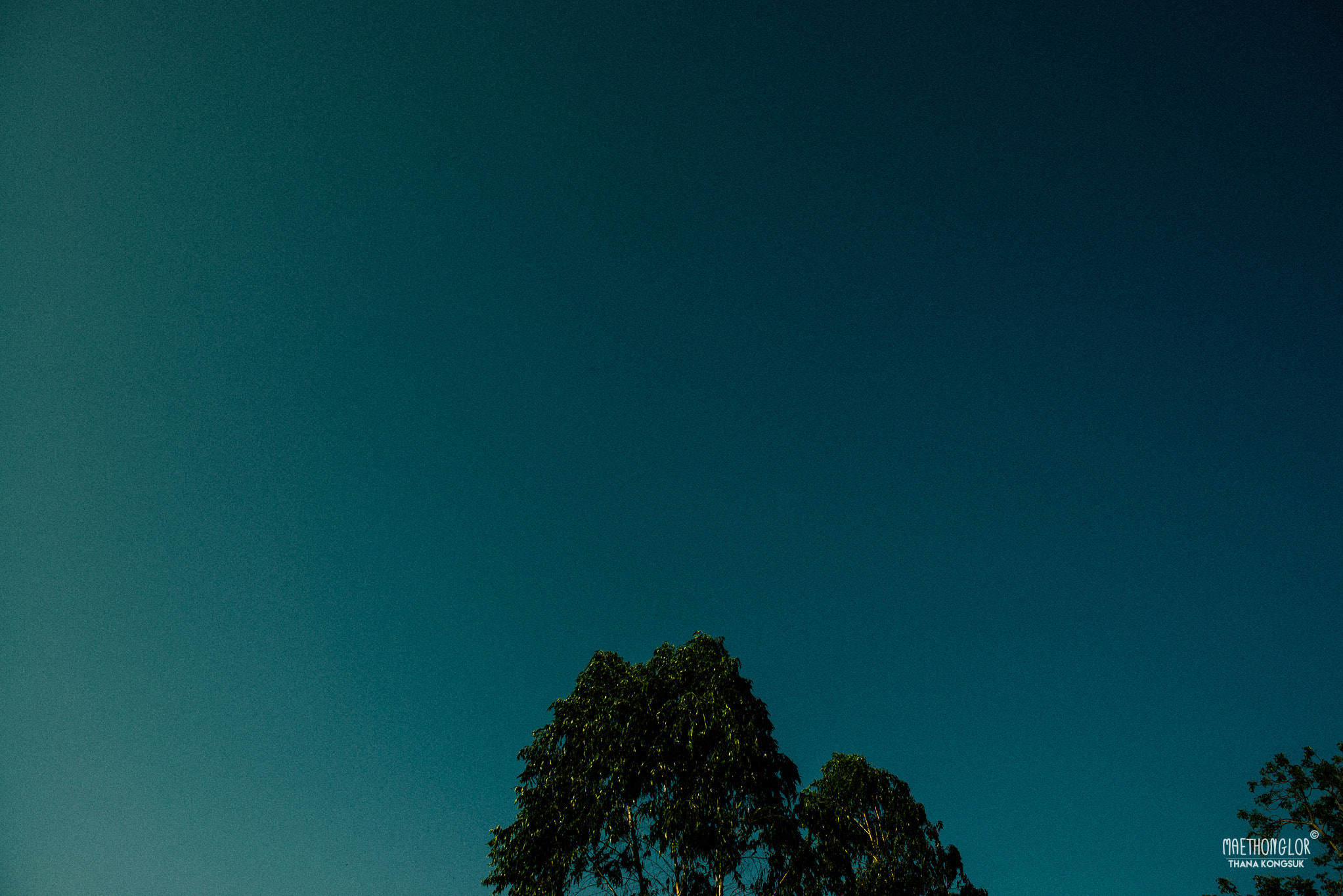 Nikon D800 + Nikon AF-S Nikkor 28mm F1.8G sample photo. K photography